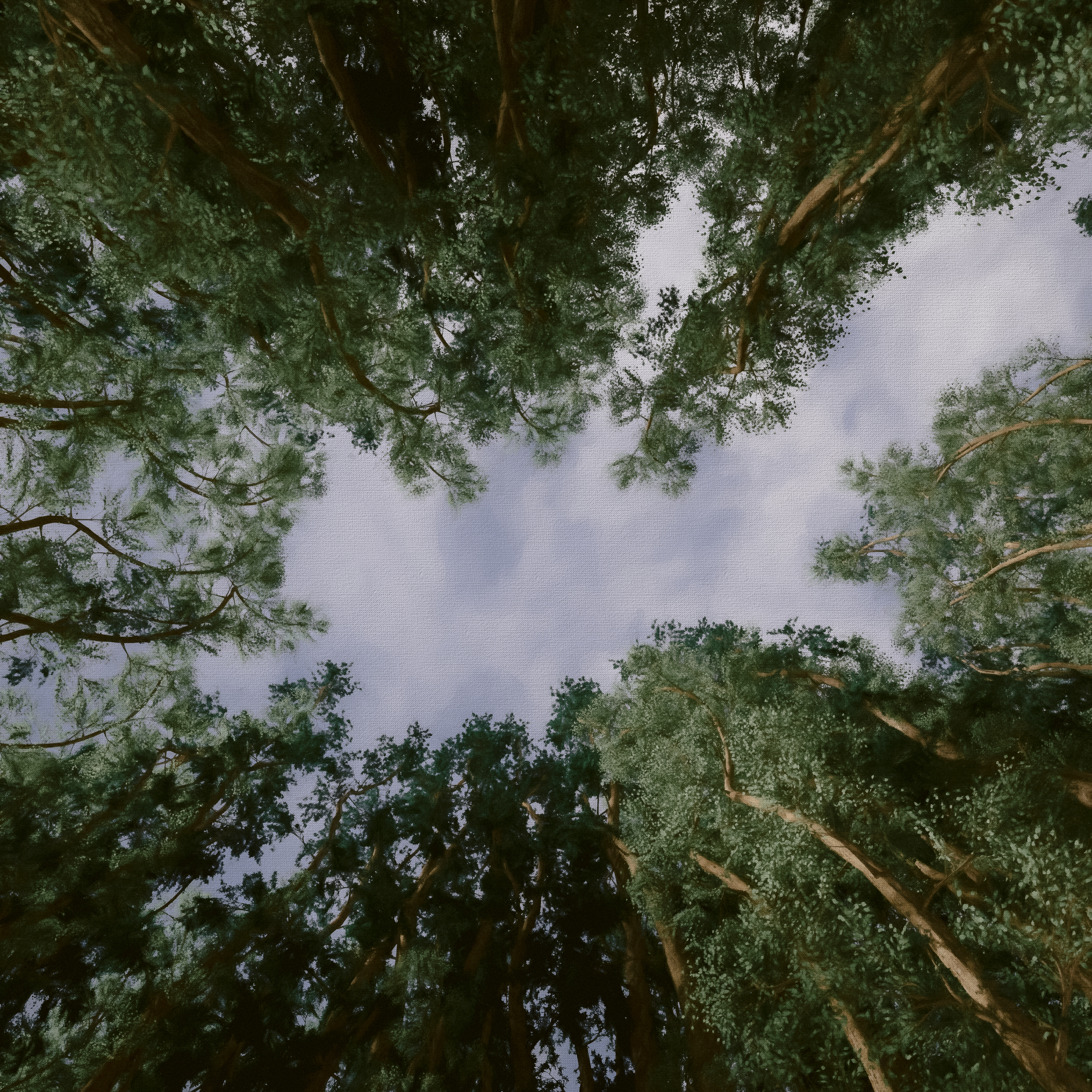010125 | don't forget to look up.