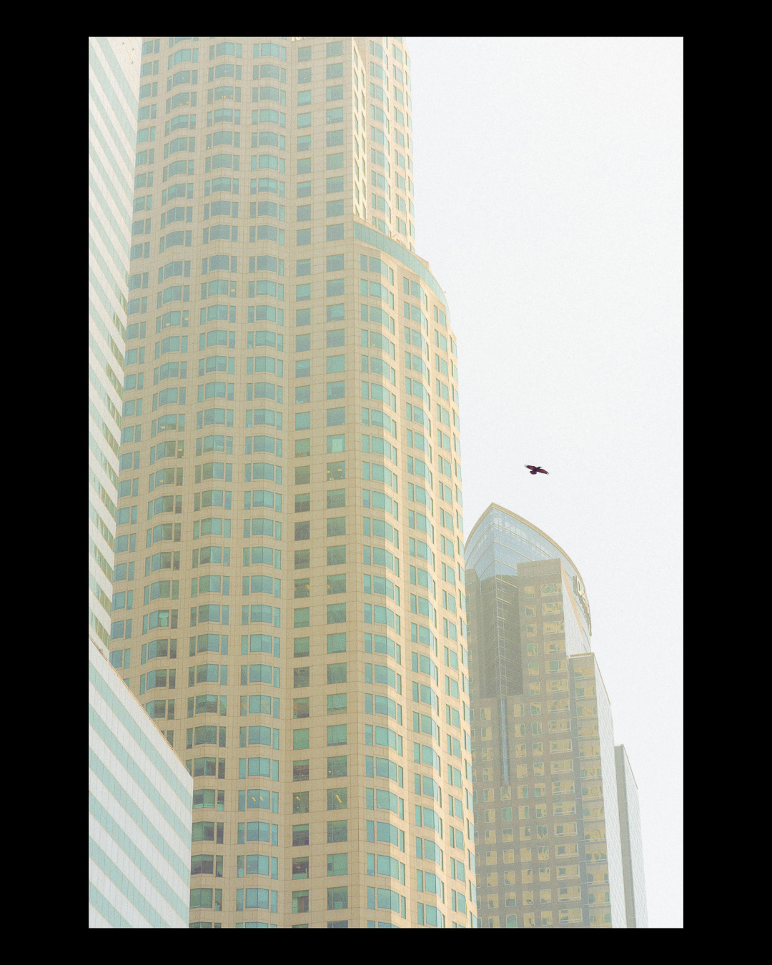 Forgotten Frames — 024