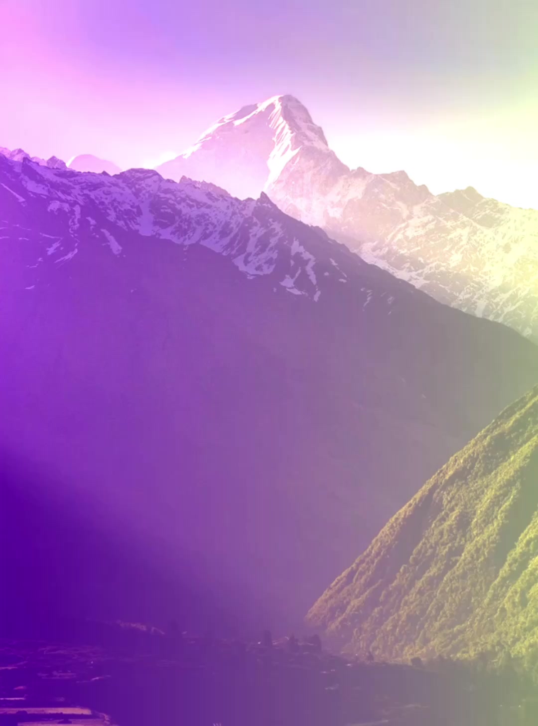 The magical world