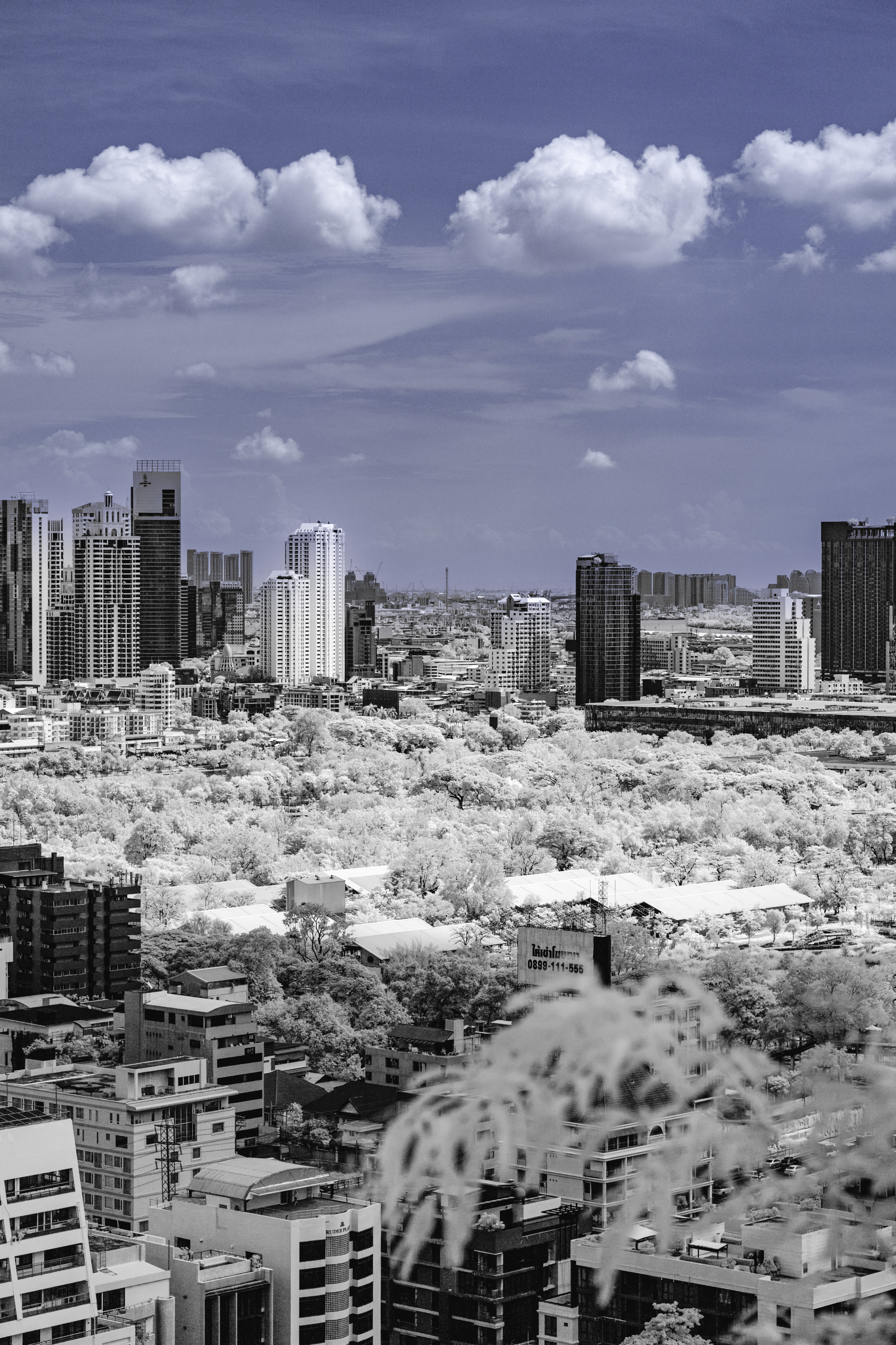 Moment 47 - Bangkok after snowfall #16