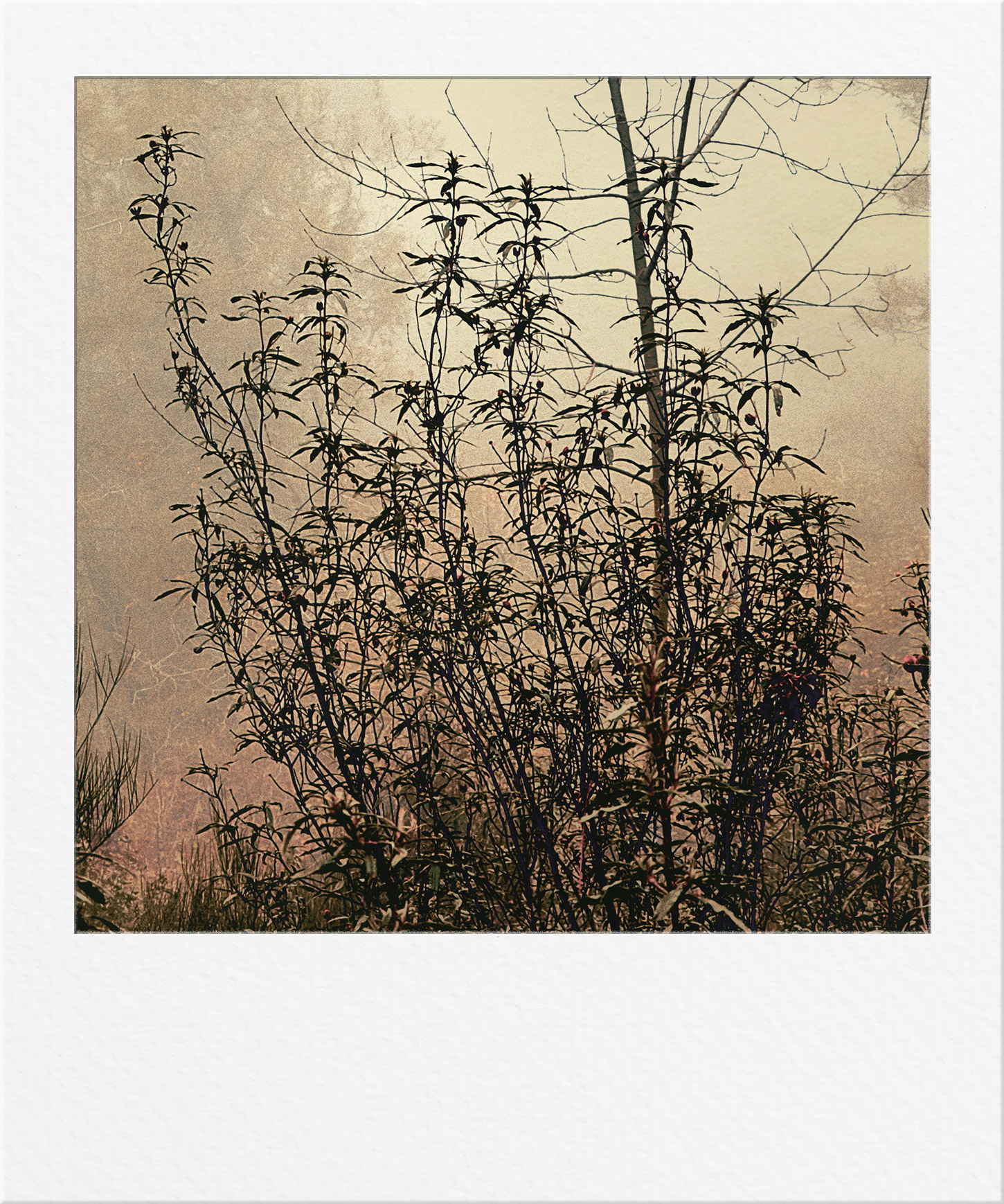 Details 001
