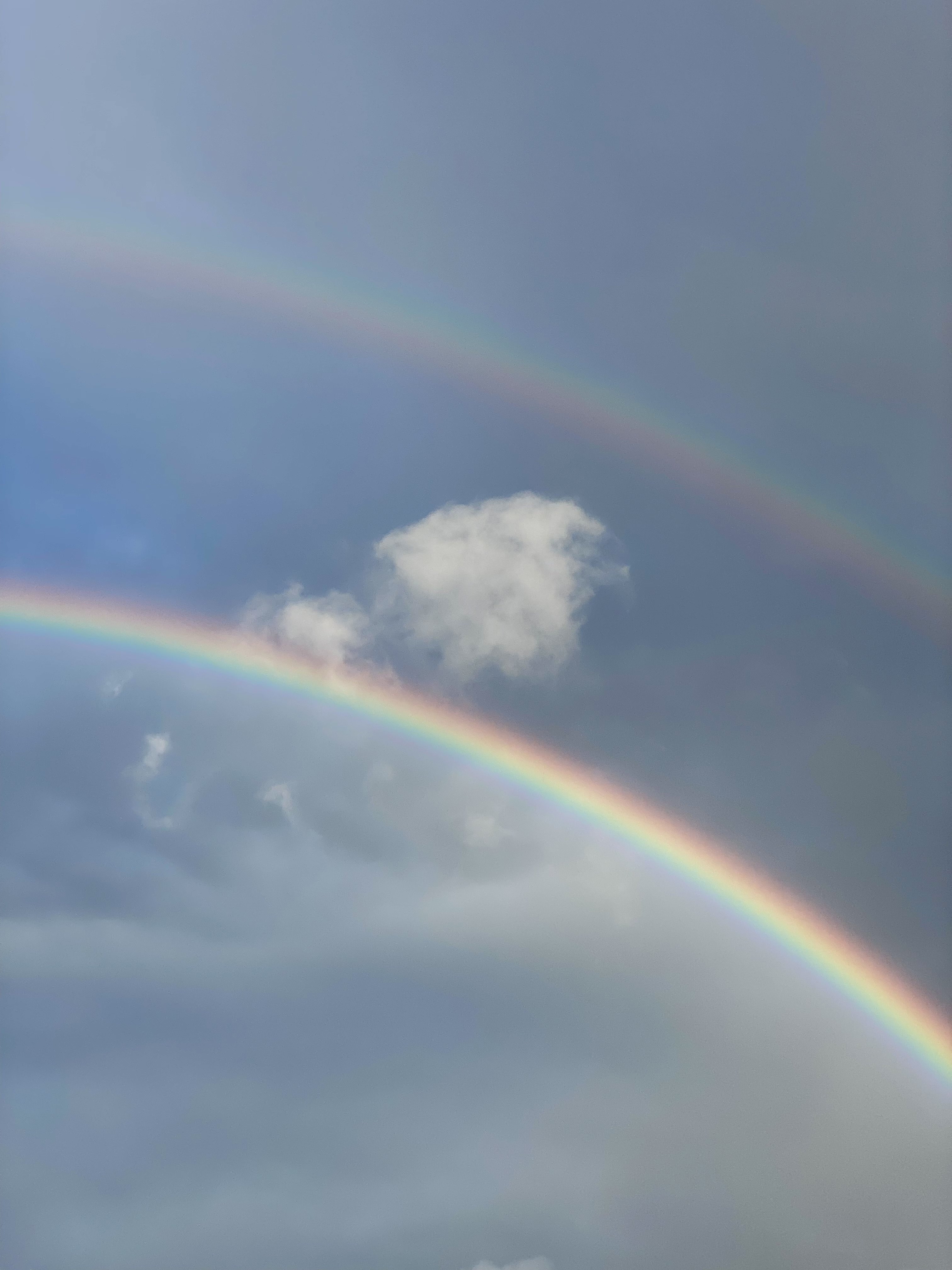 Rainbow #22