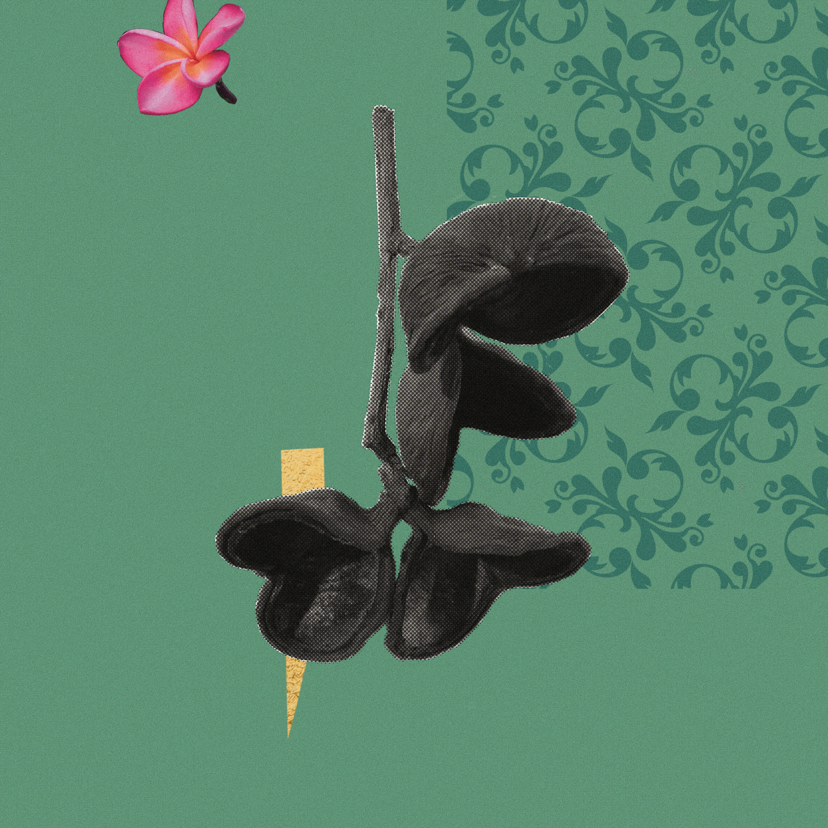 If winter comes....,