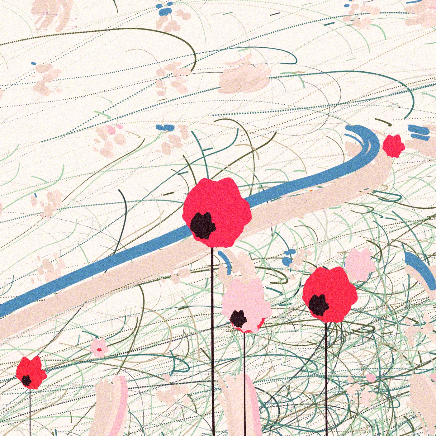 Red poppies in the garden