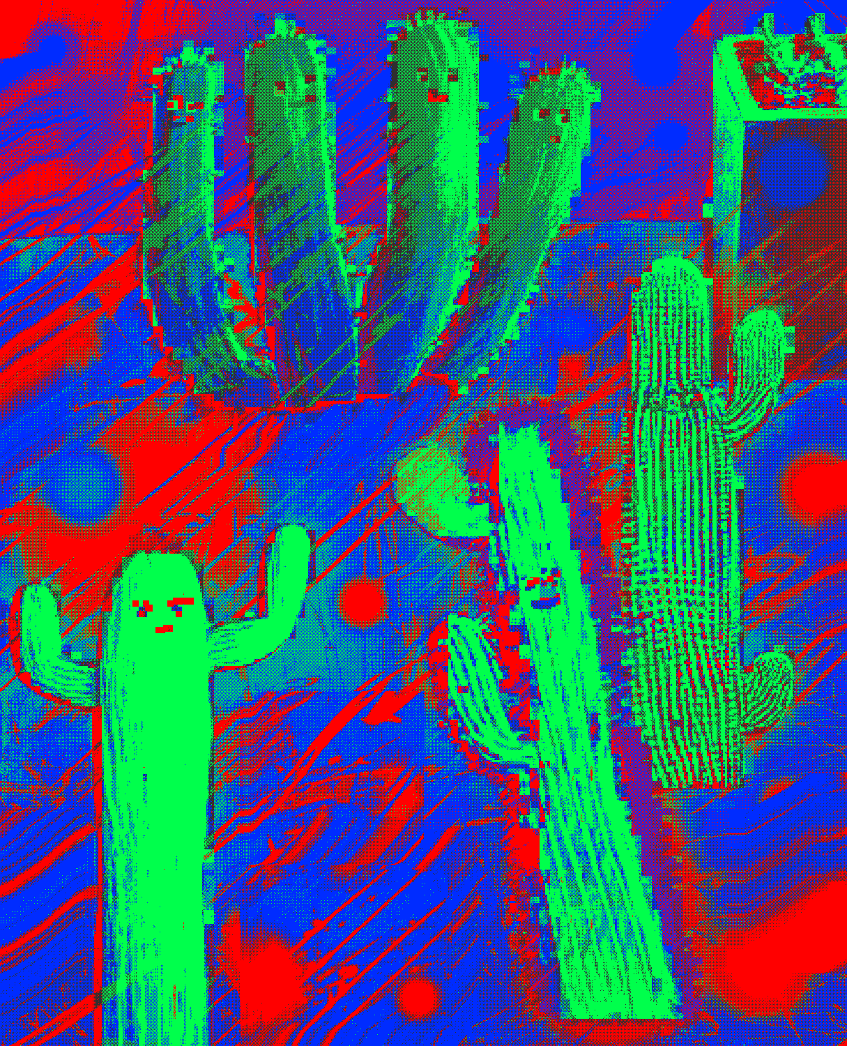 we are cacti 002