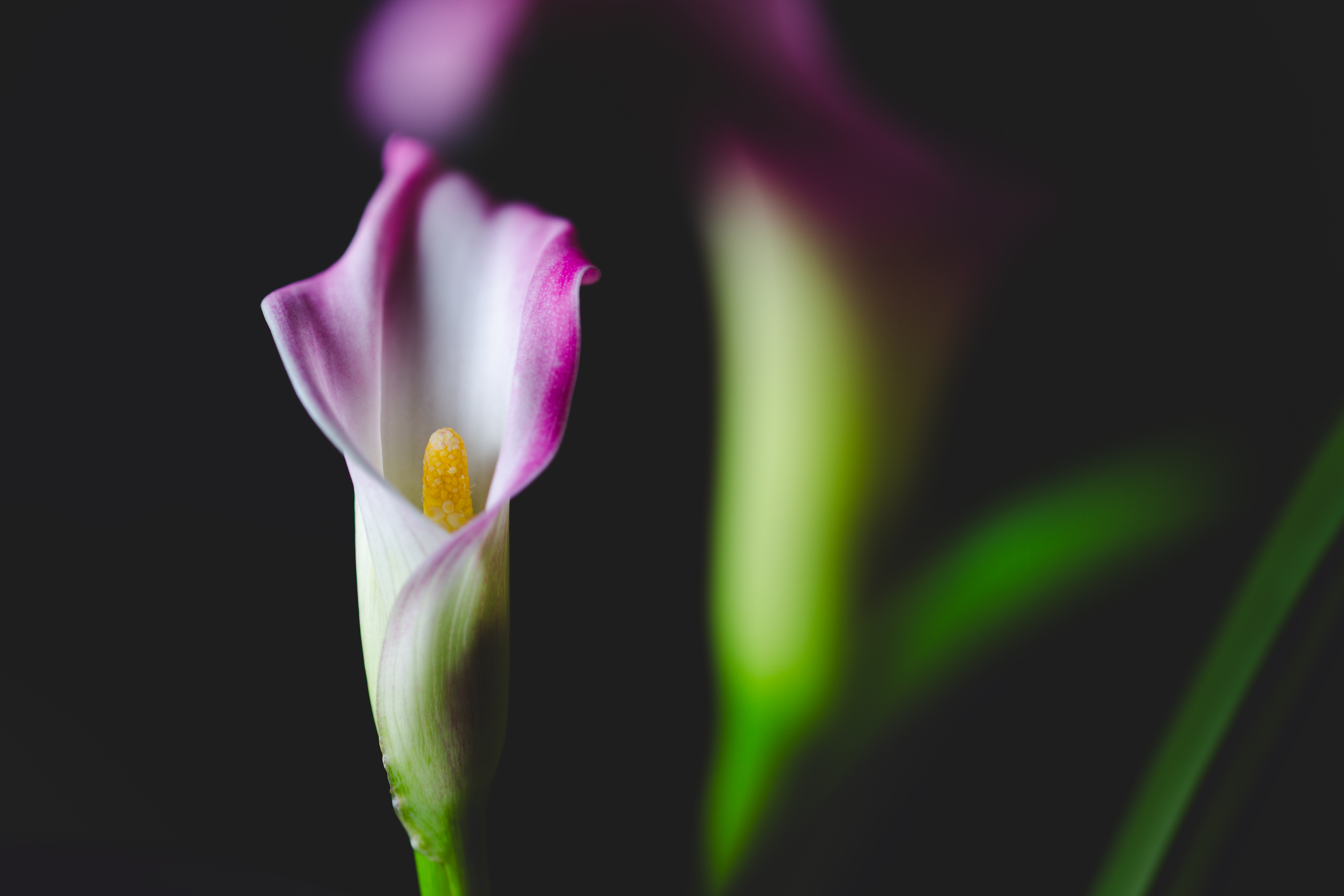 Perfect Imperfections #79