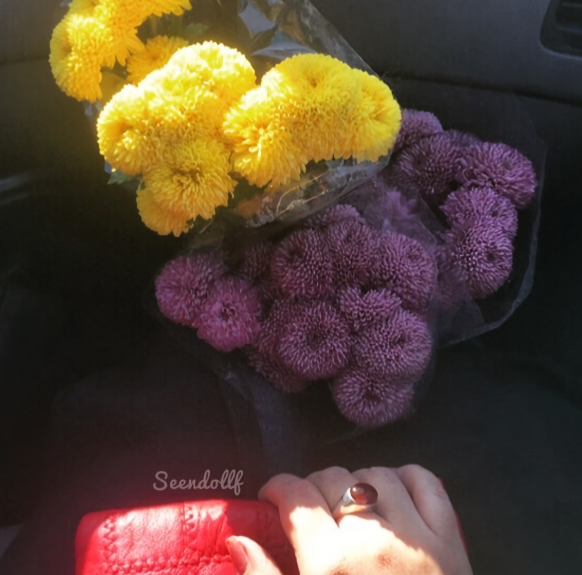 Night of wishes🪄🌲🌹🌙 #31