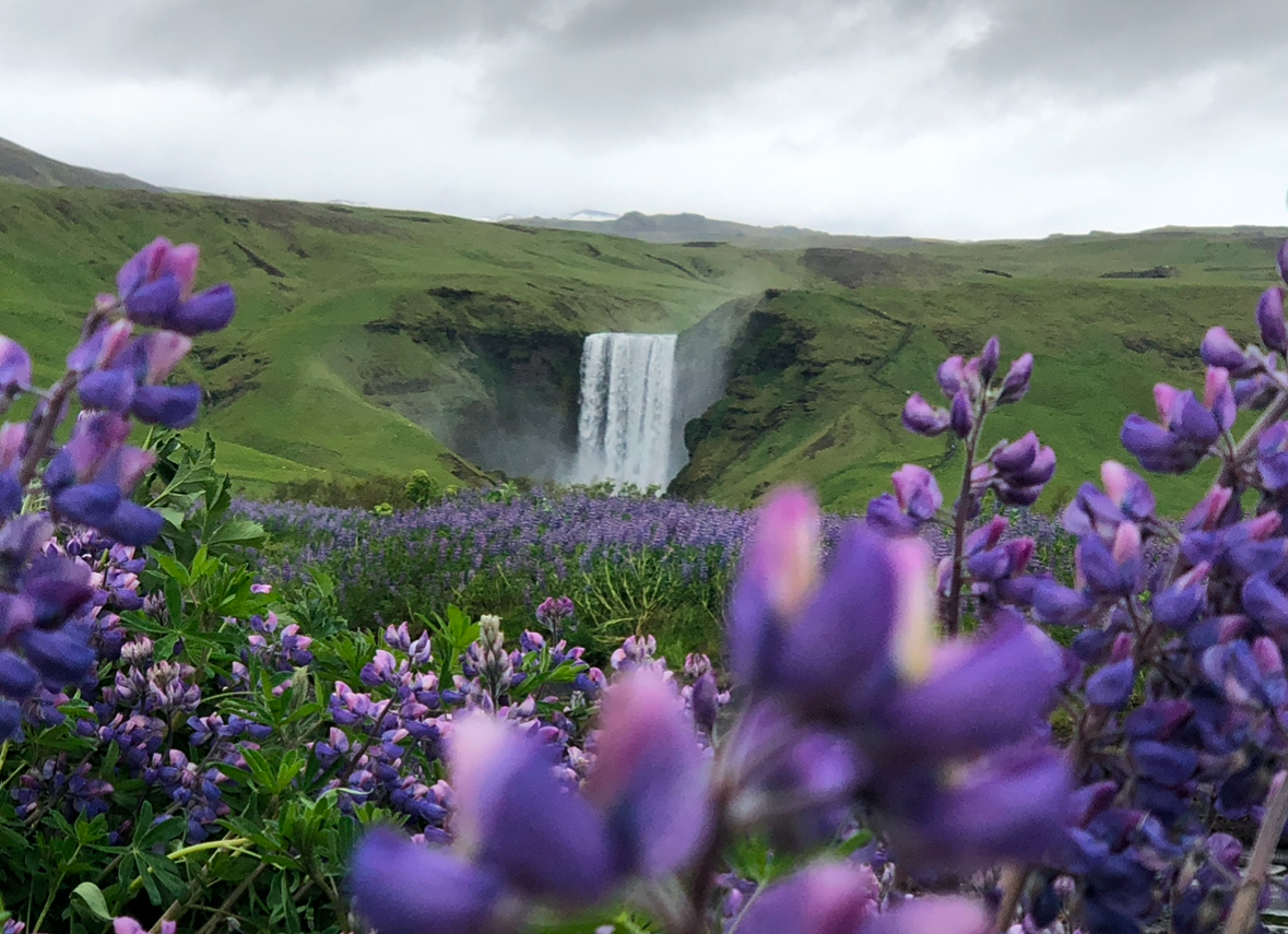 skógafoss, iceland