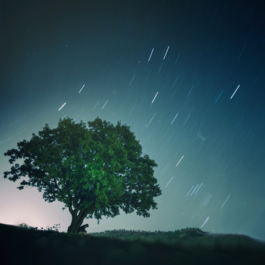 The tree and I under the night sky.