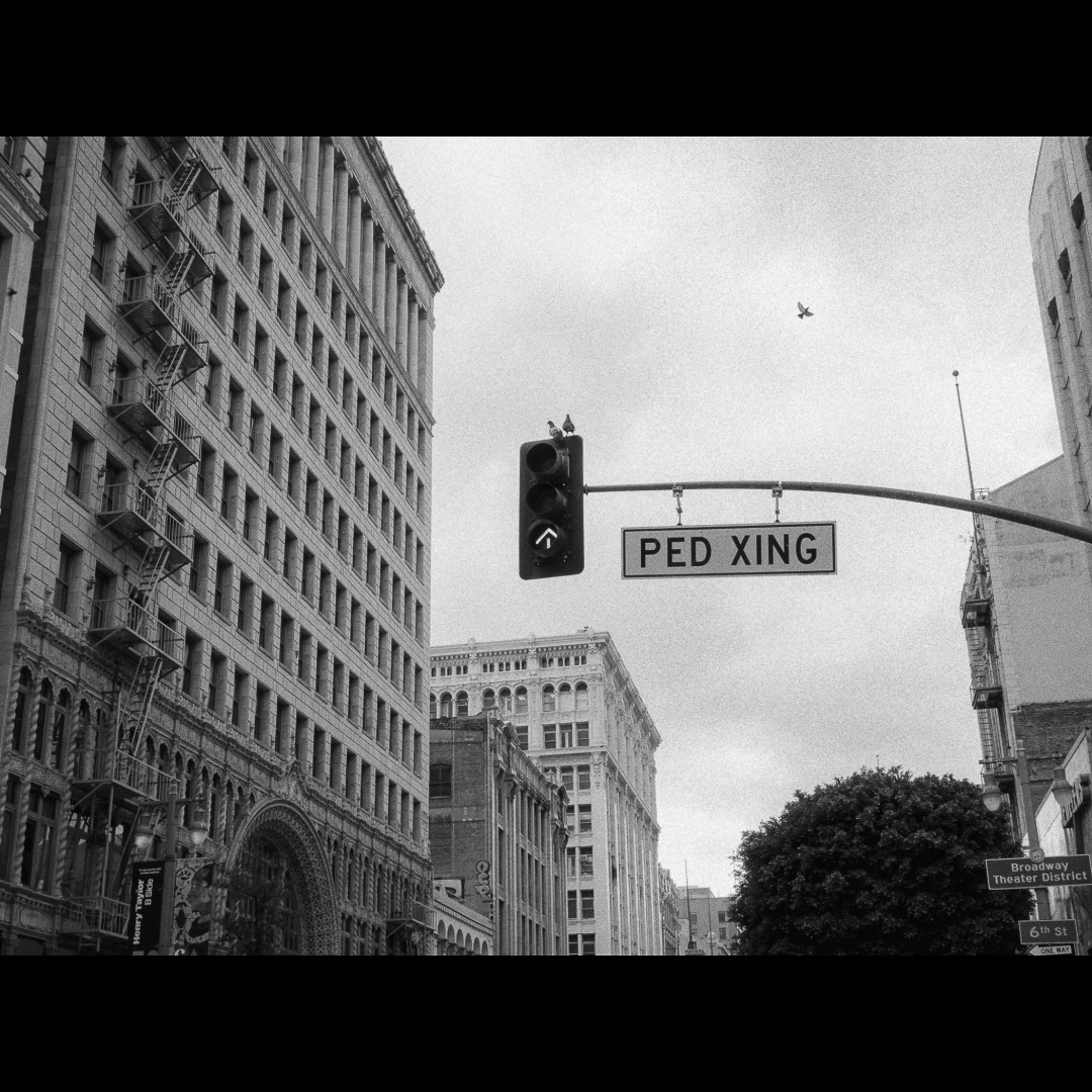 Forgotten Frames — 033