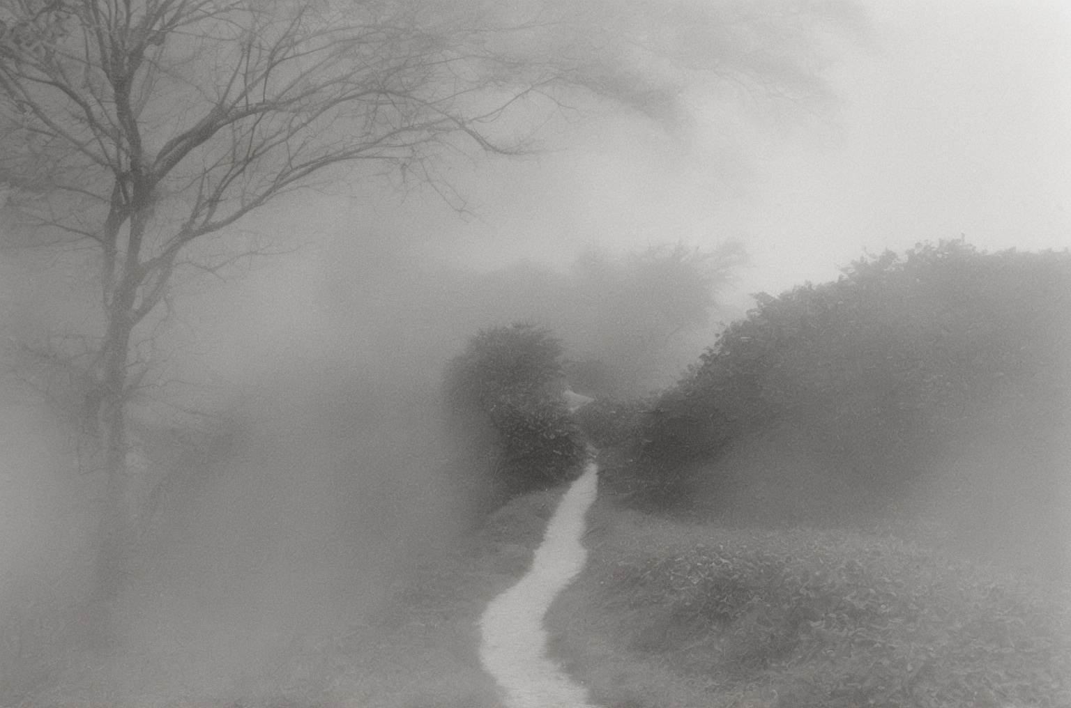 Find Your Way Home #103