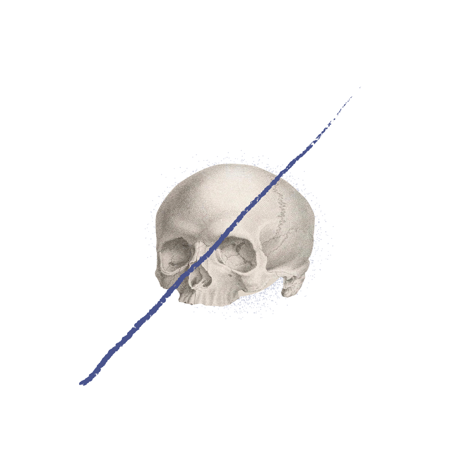 👁️/💀