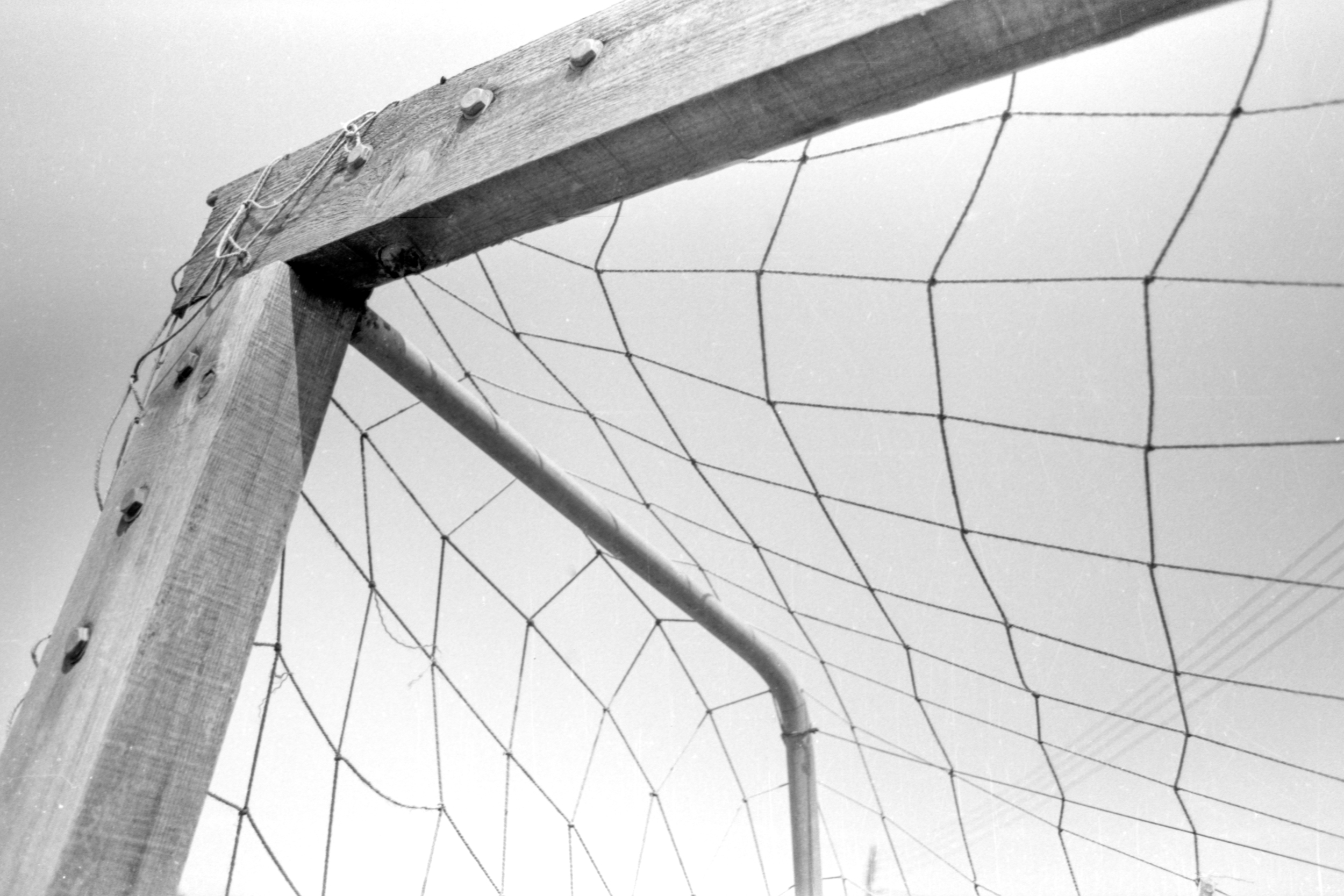 Goal (The Greece Files #12)