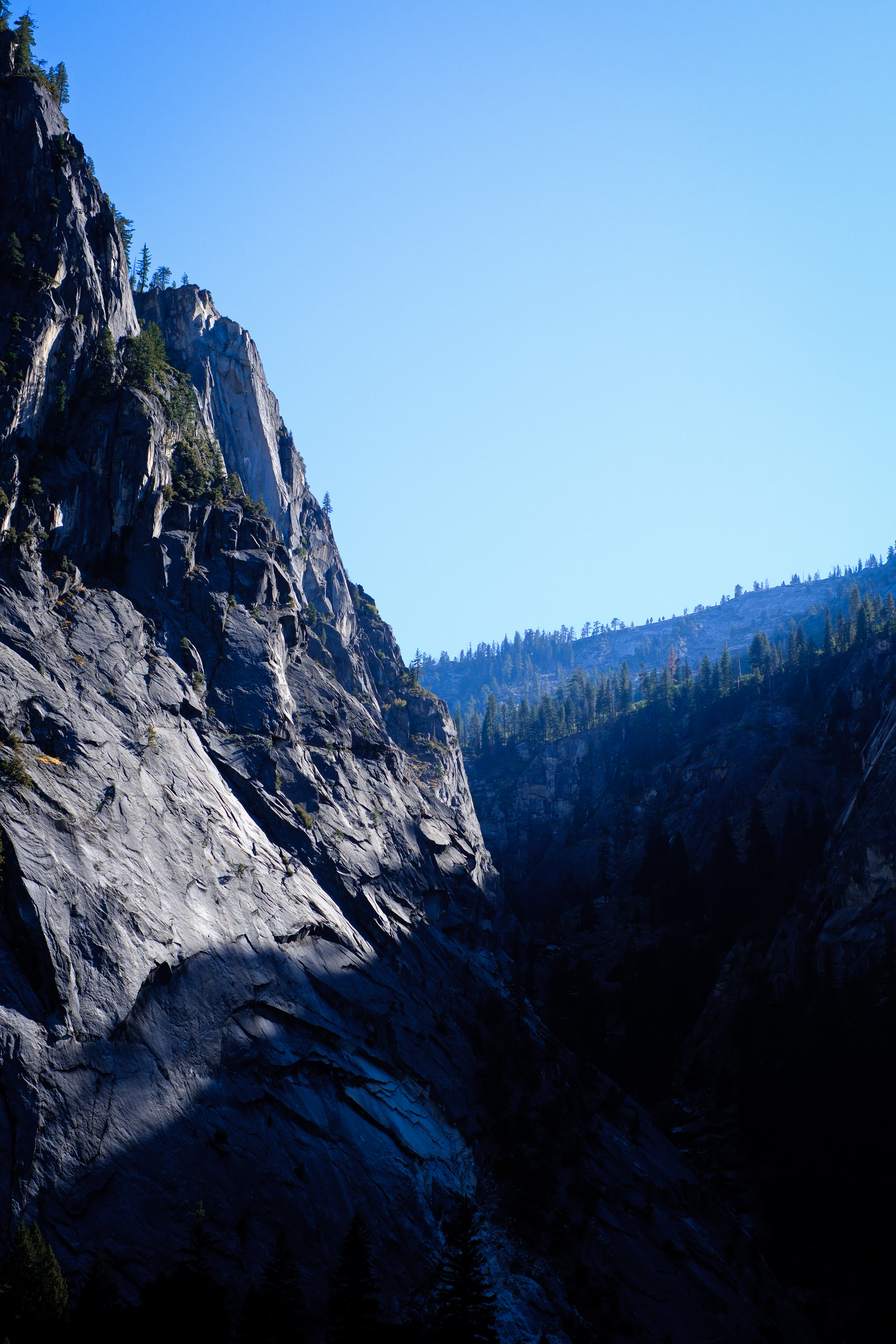 nature isn’t rushed 💭