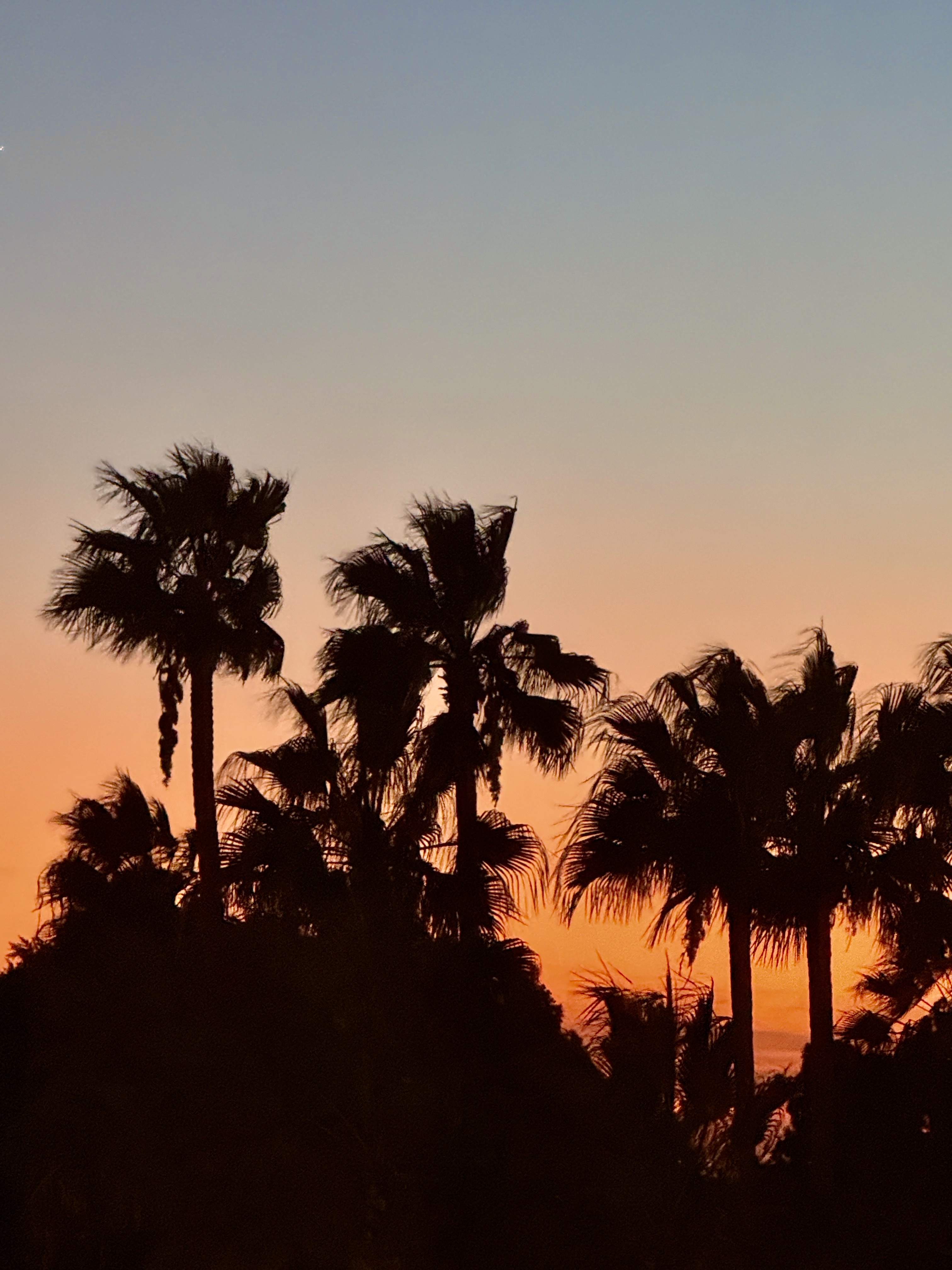 Hollywood Sunset