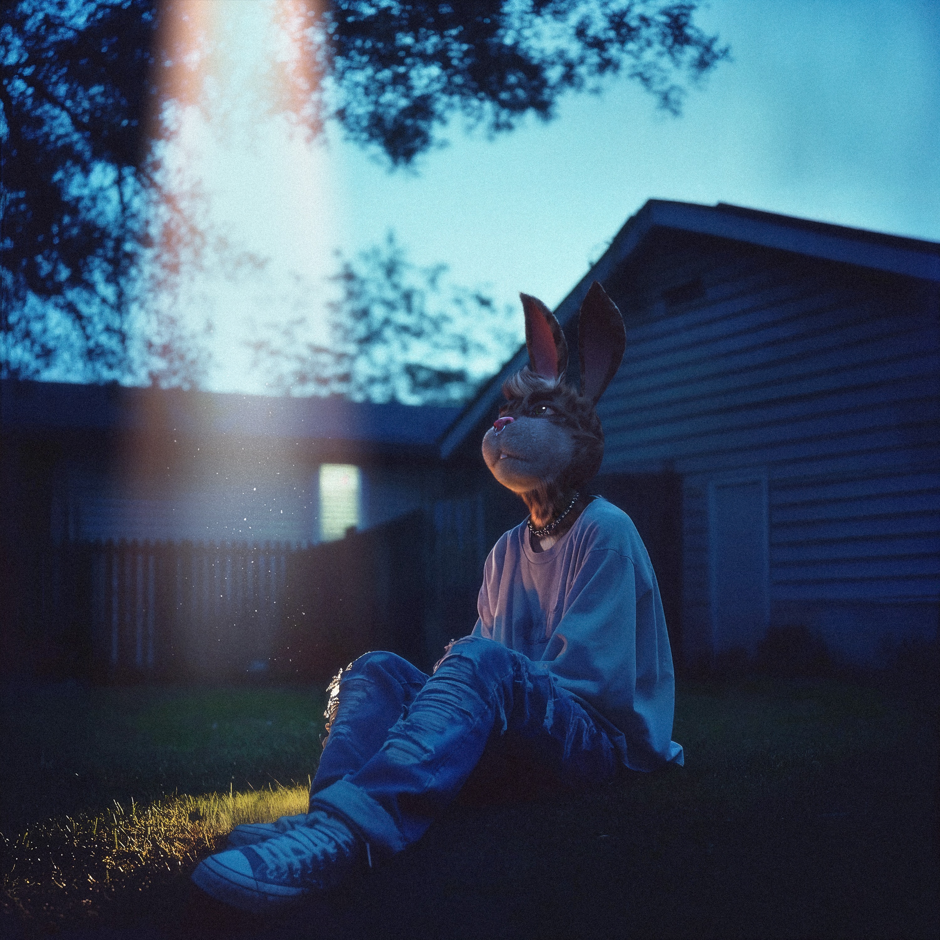 what happens when we die - Limited #908