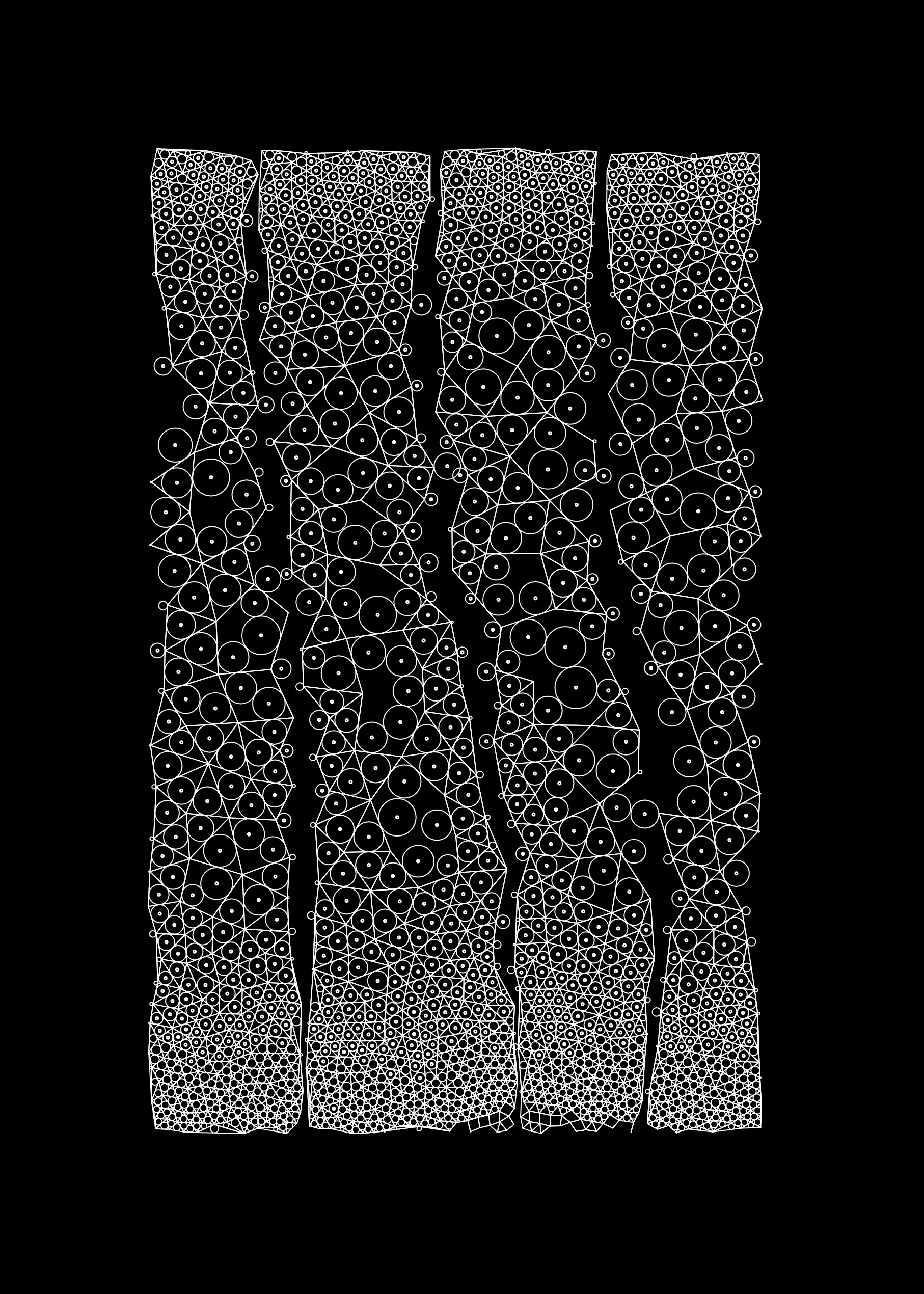 Network Study WIP