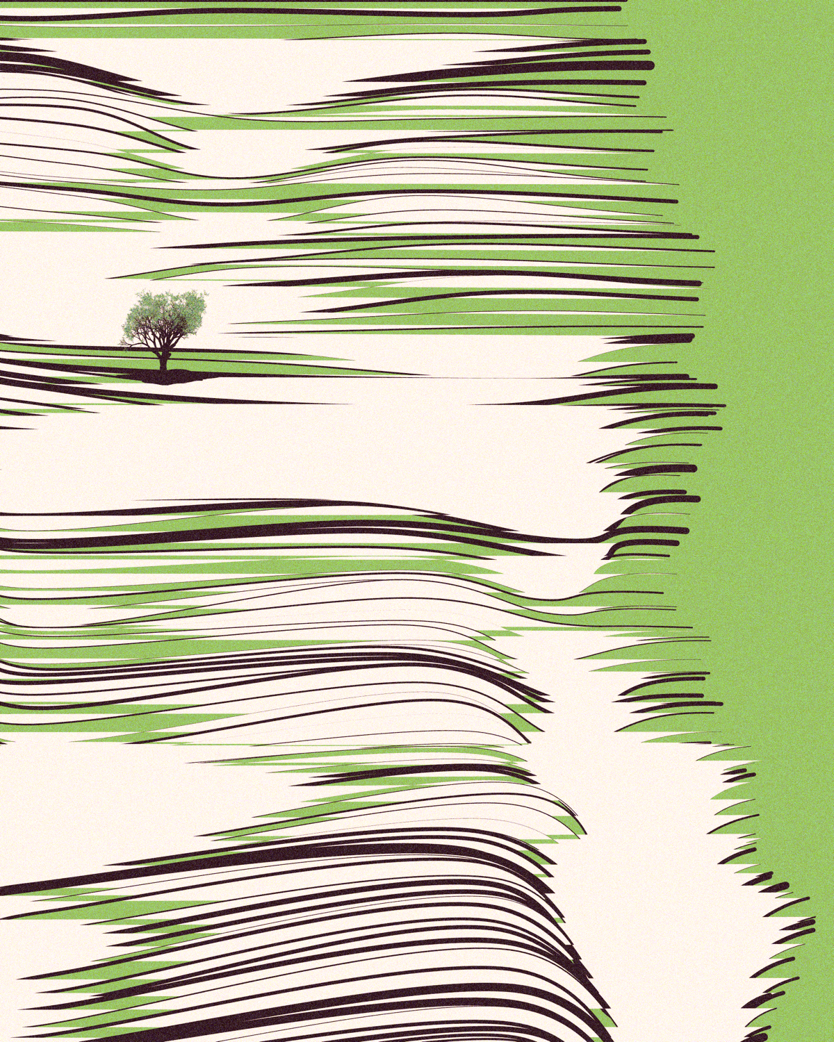 A tree in the distance