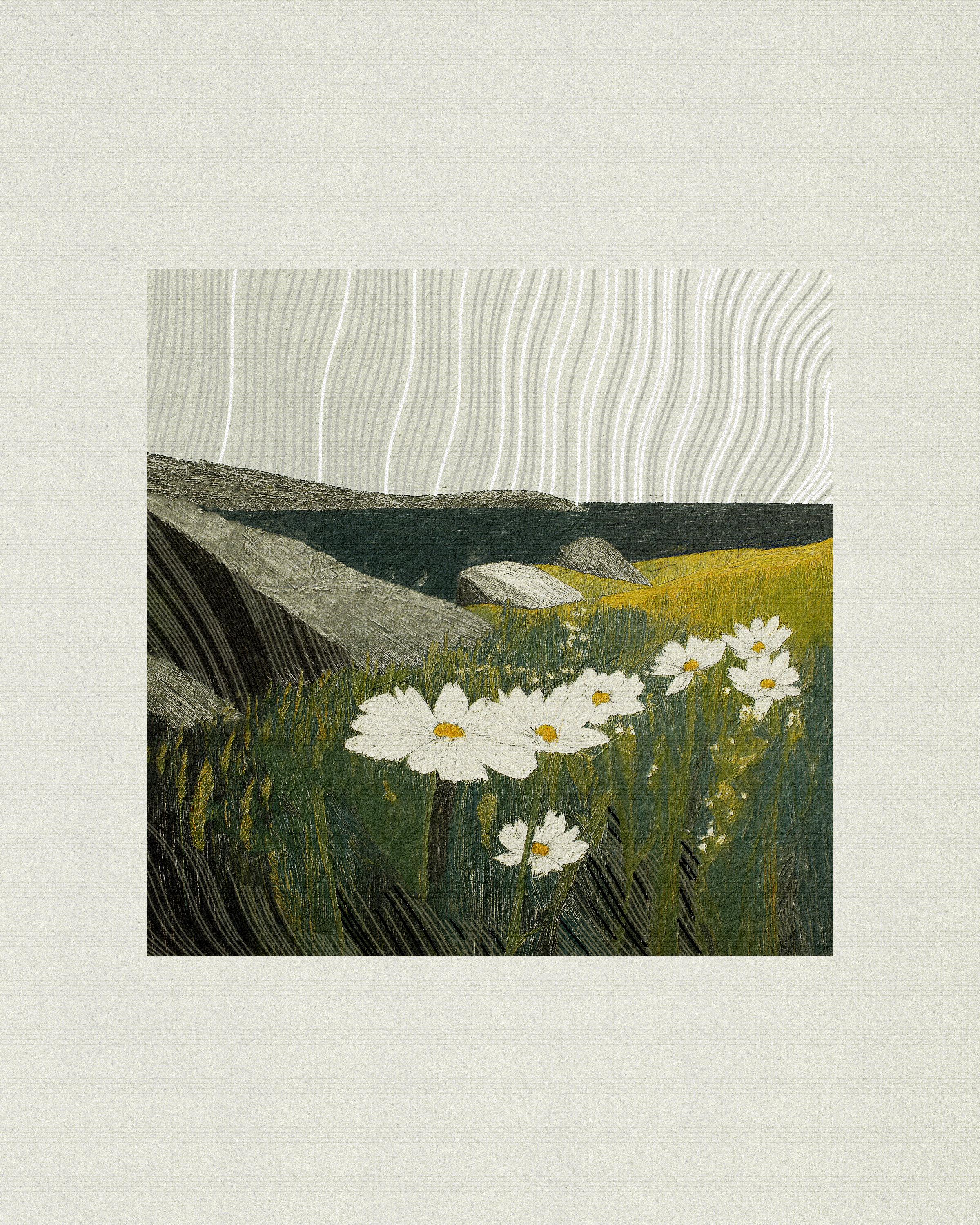 Coast #37