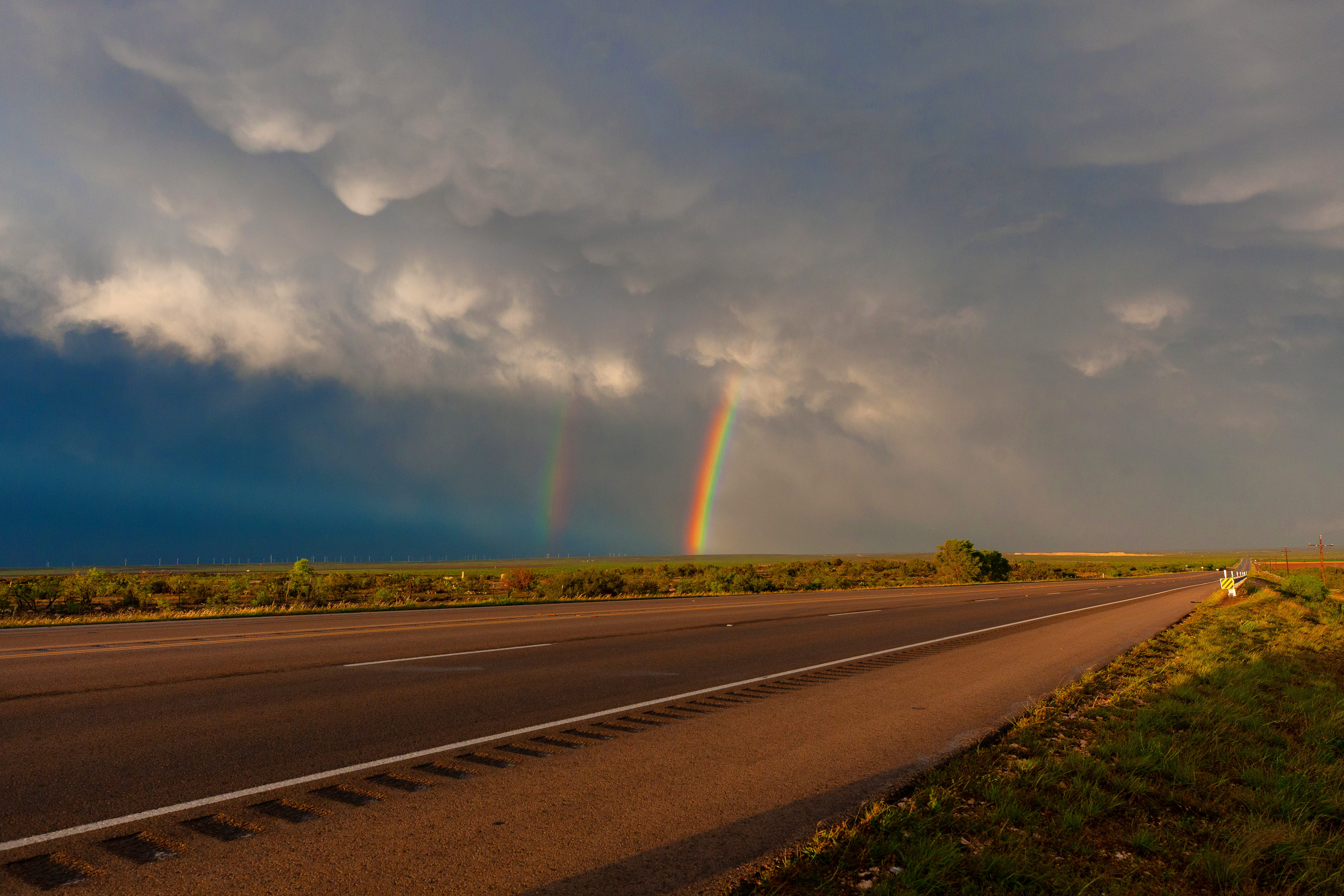 Road to the Rainbow #442