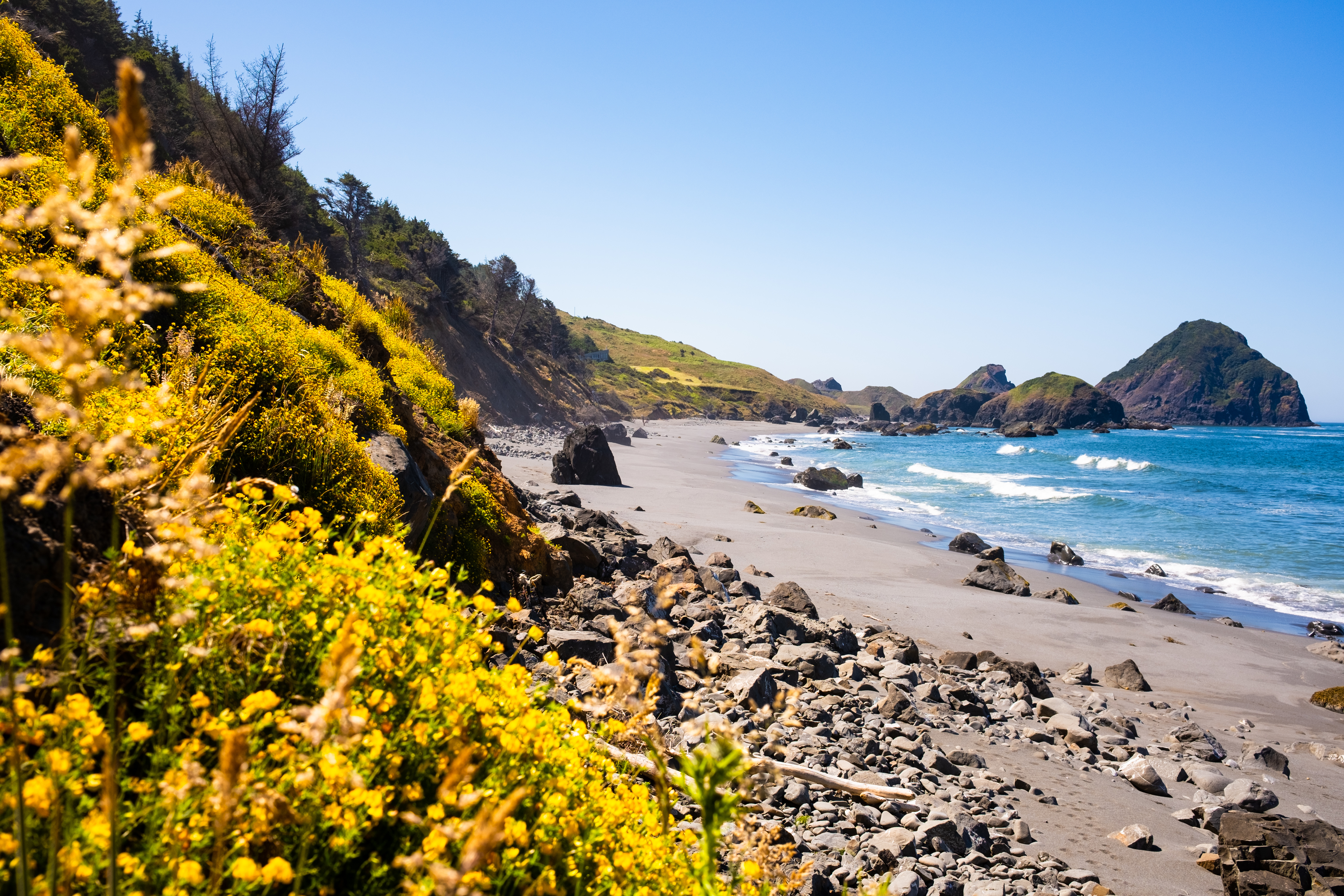 coastal dreams