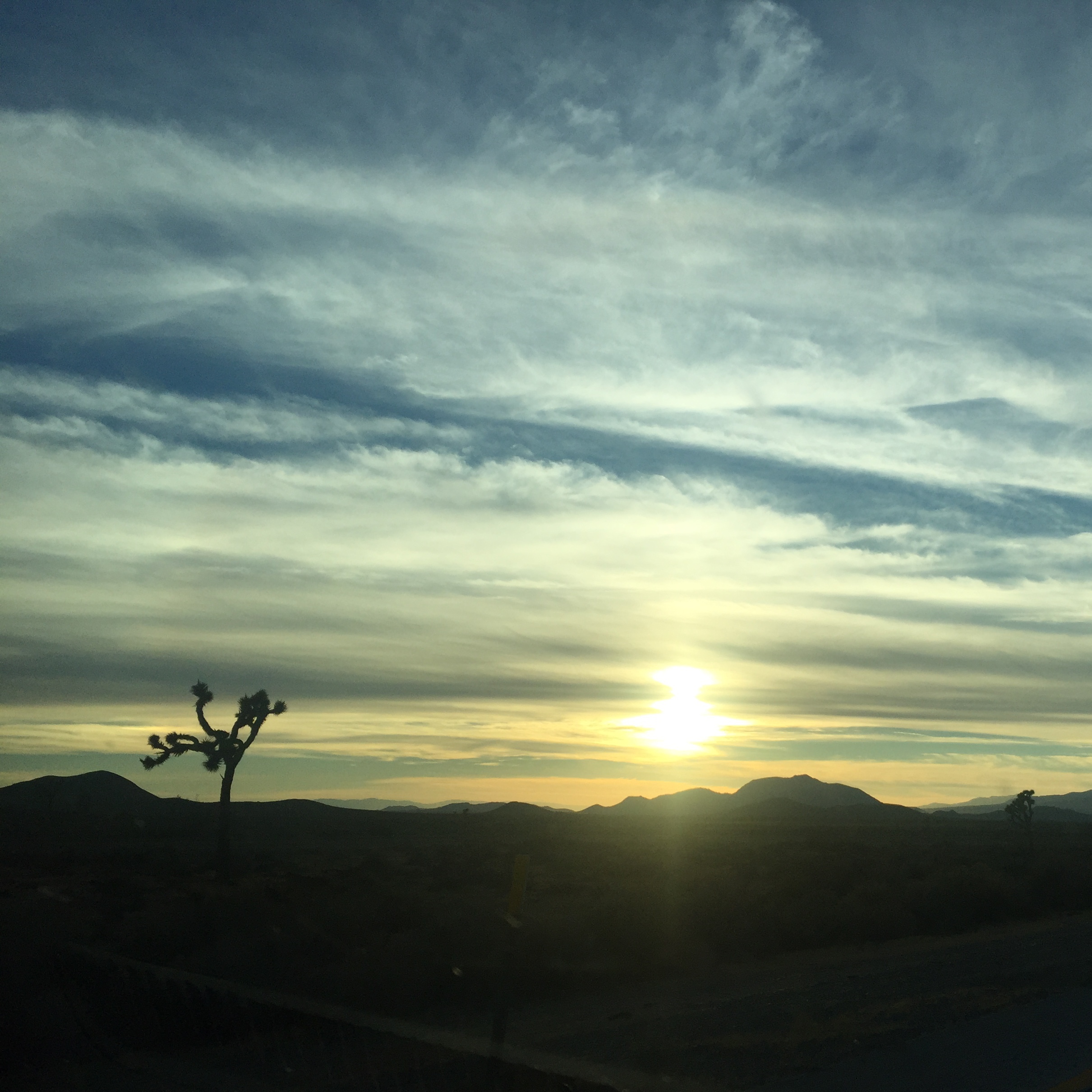 Mojave Desert, CA