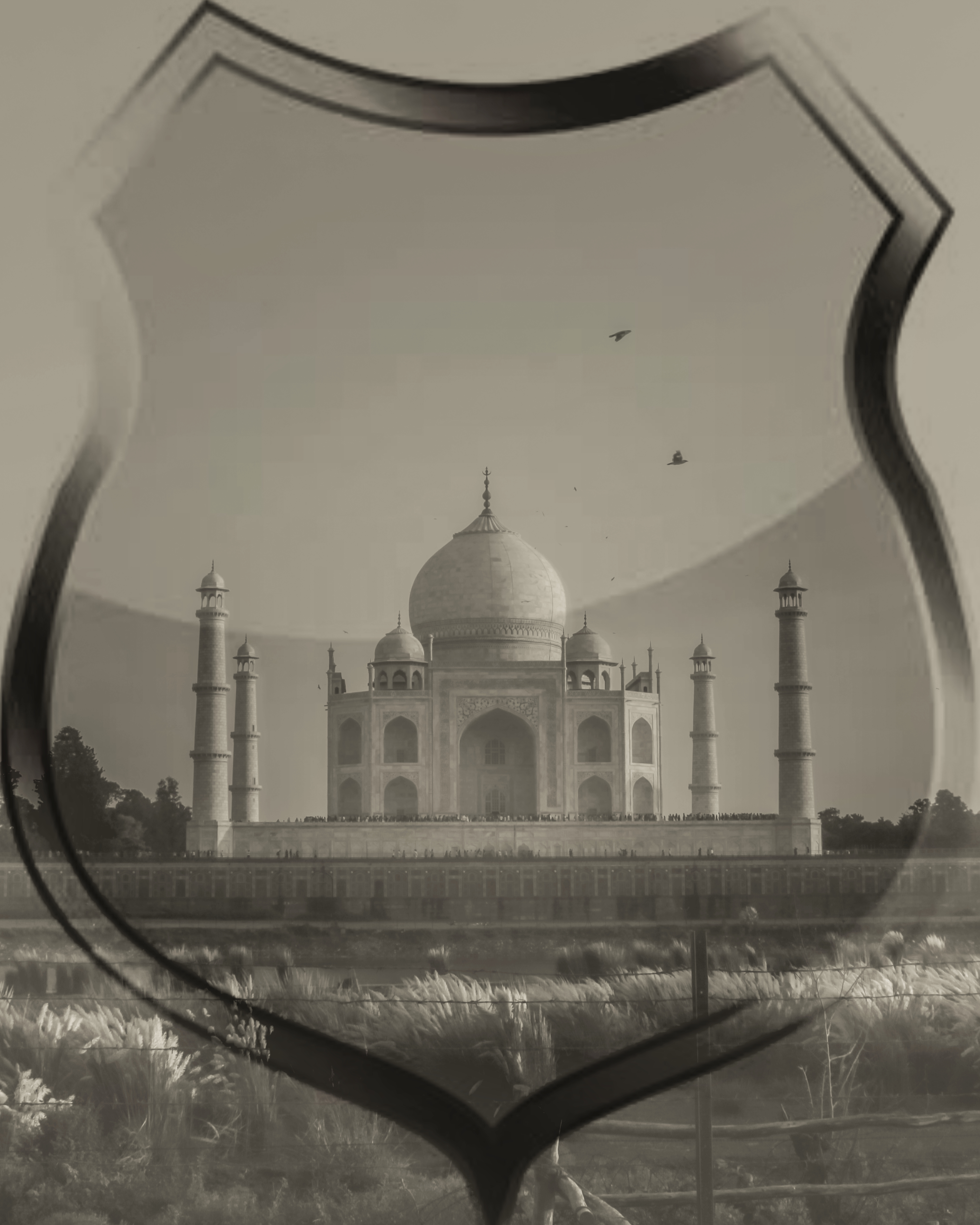 Shielding the wonder  #55395