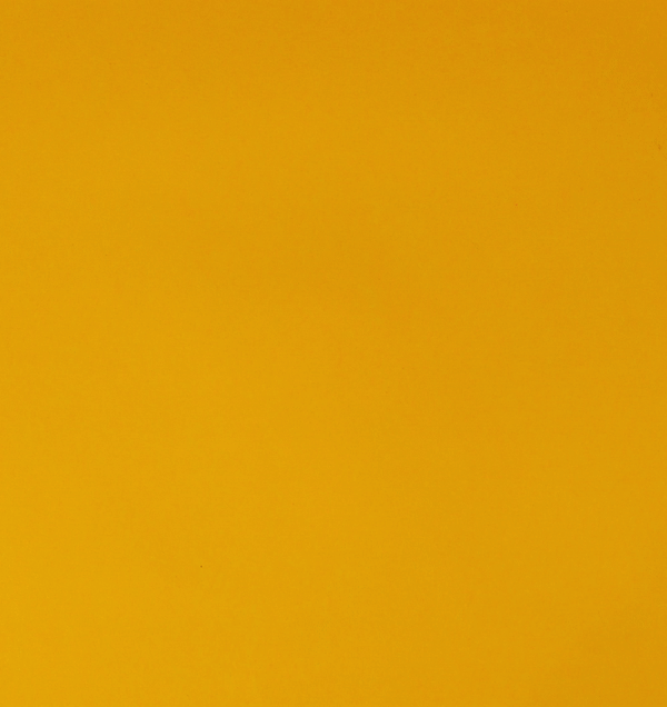 BASED Onchan Autumn Stopmotion #1548