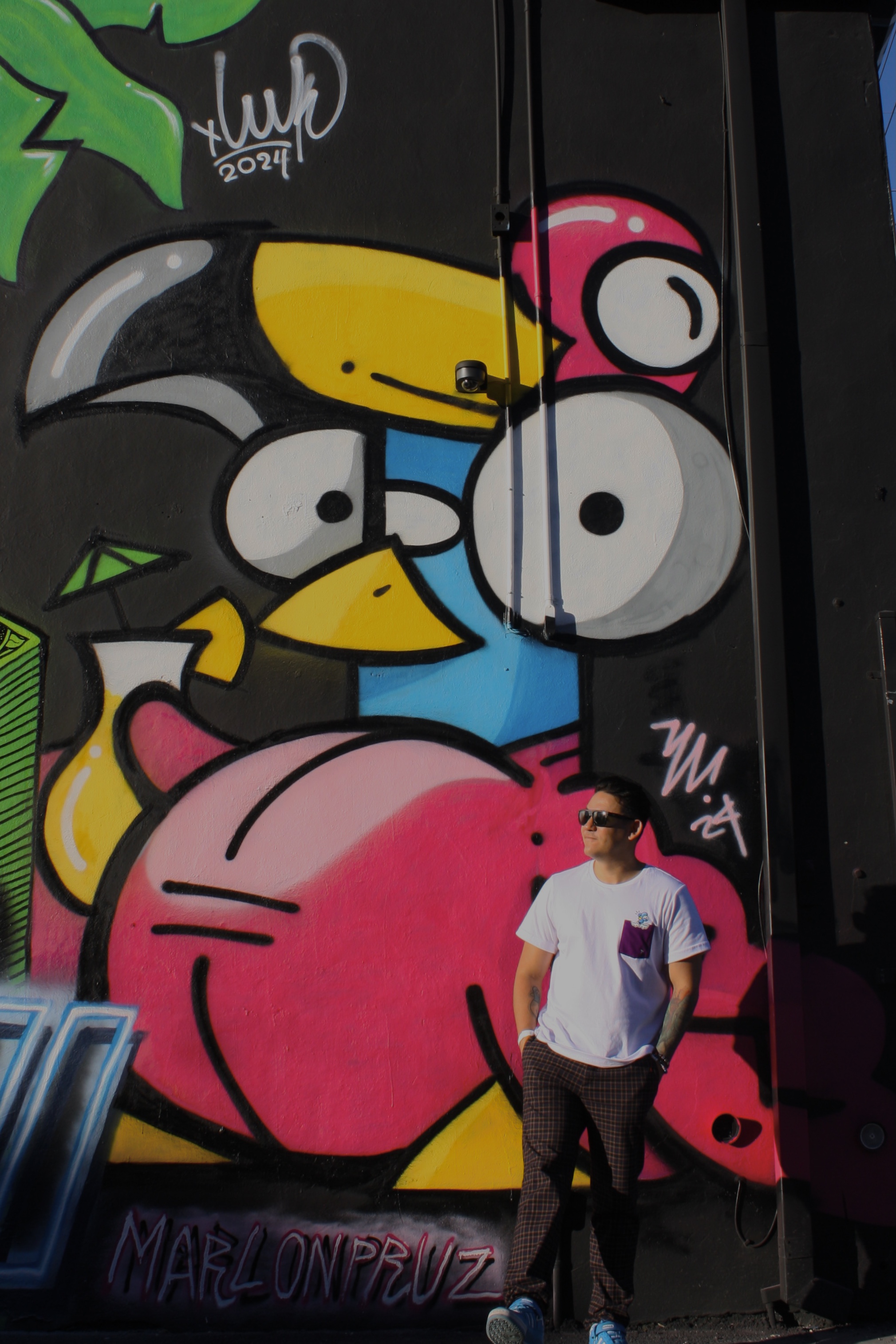 Palometa Flamingo - Wynwood #7