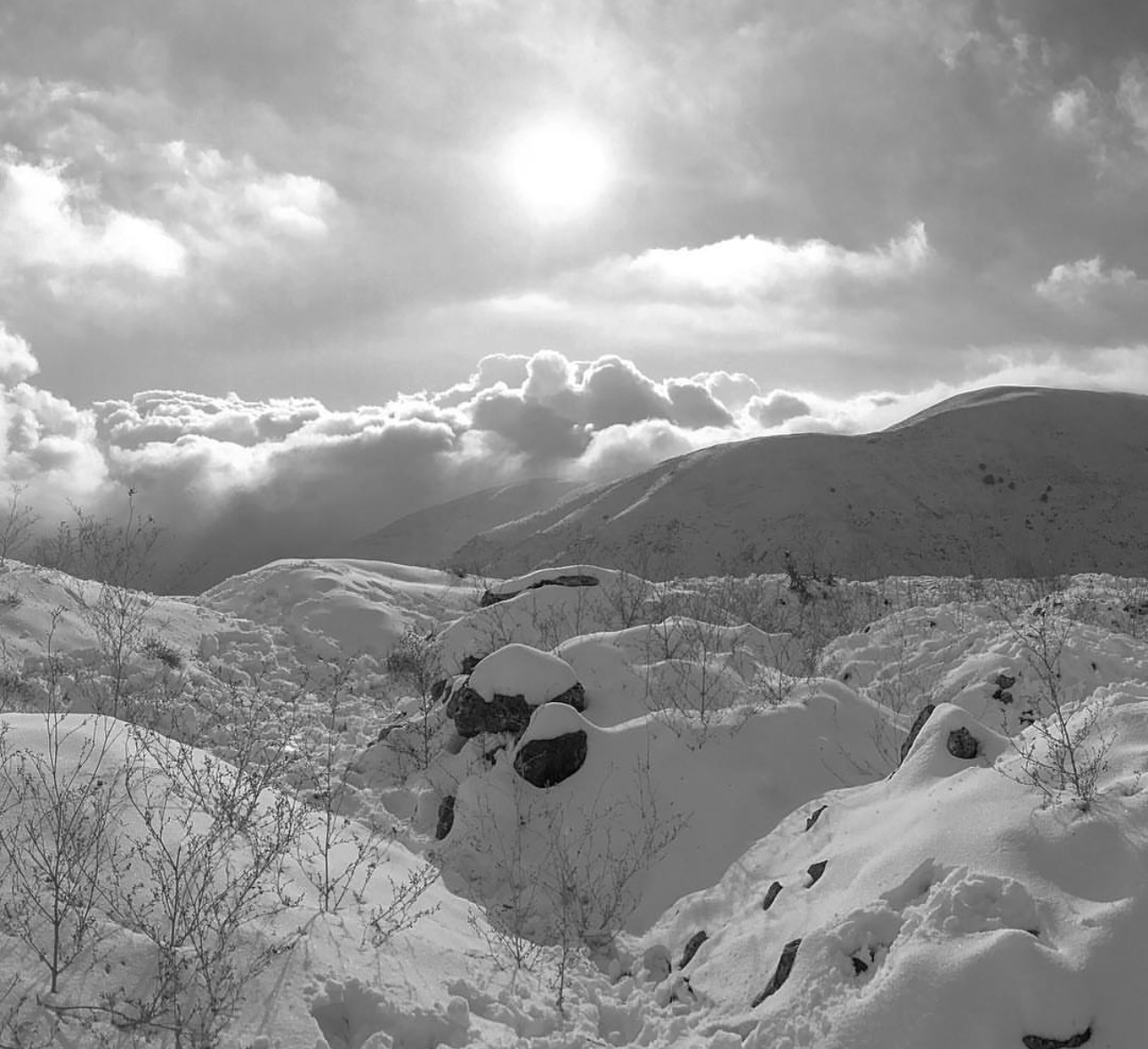 Serenity in Winter’s Embrace