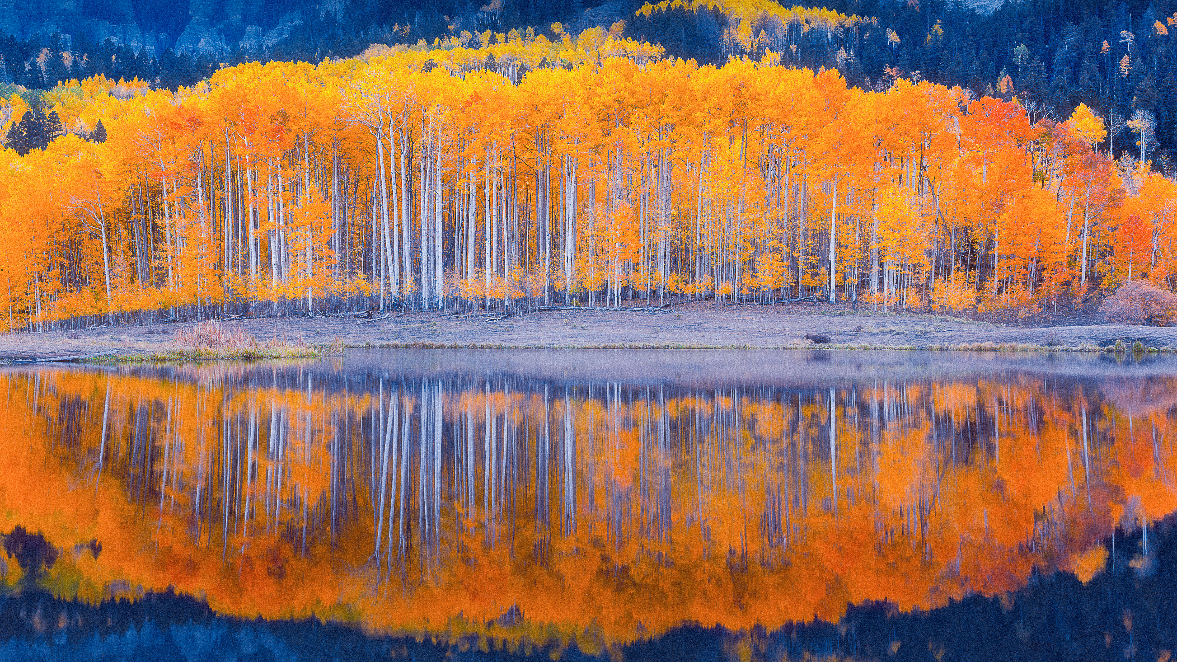 An Early Morning Moment #14