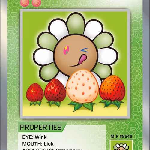 Strawberry SP-080 EN