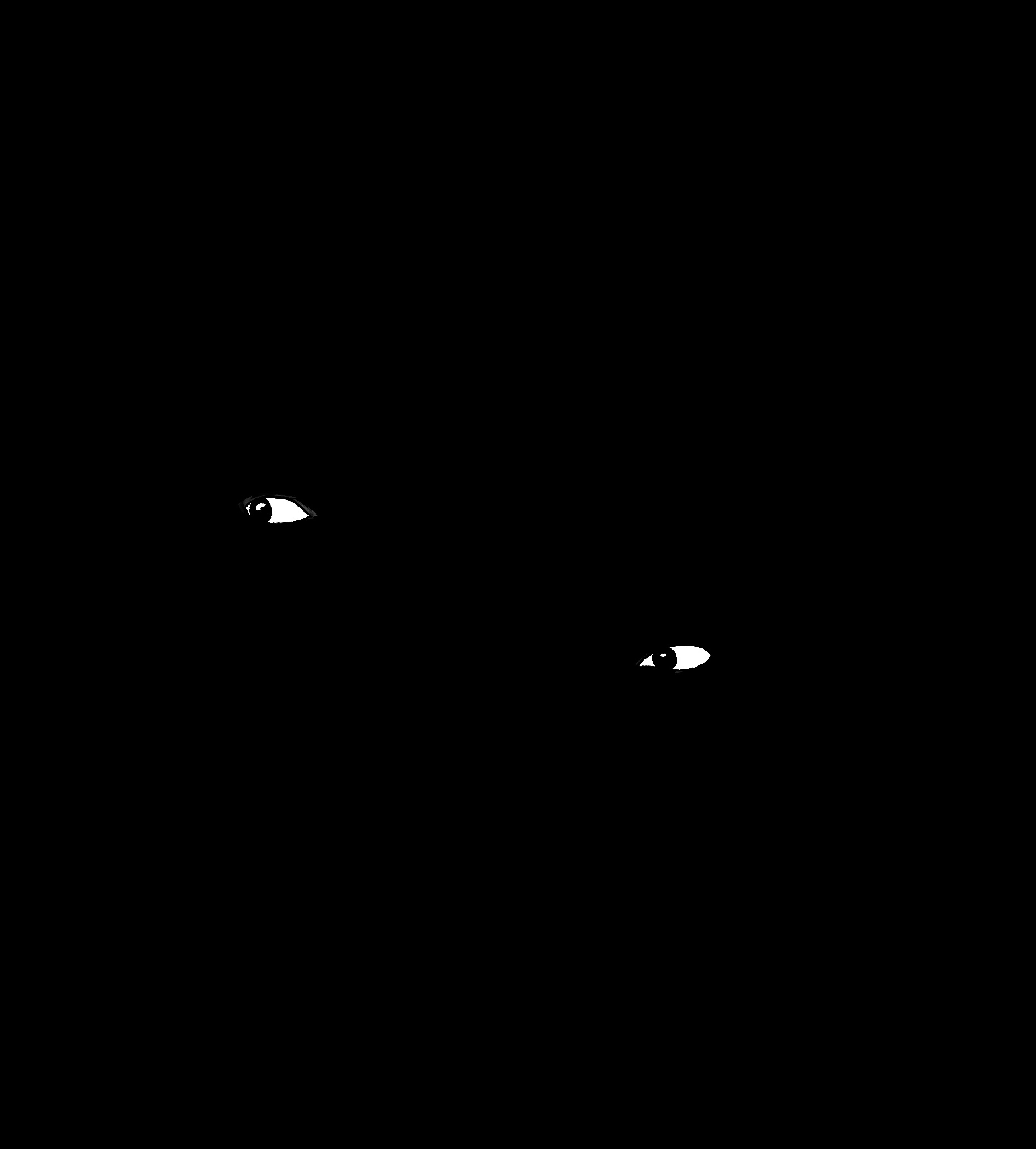 WIP with eye animation #13