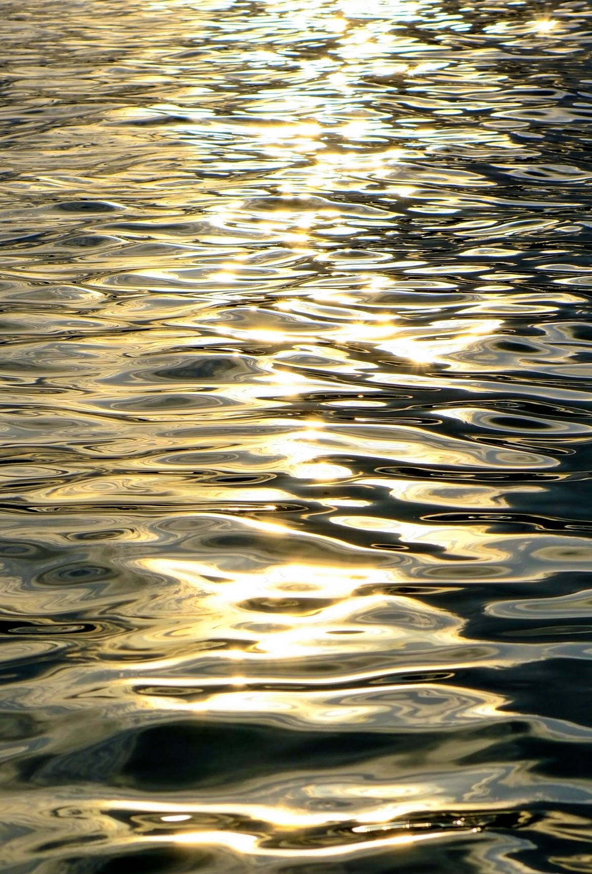 freedom is coming ☀️