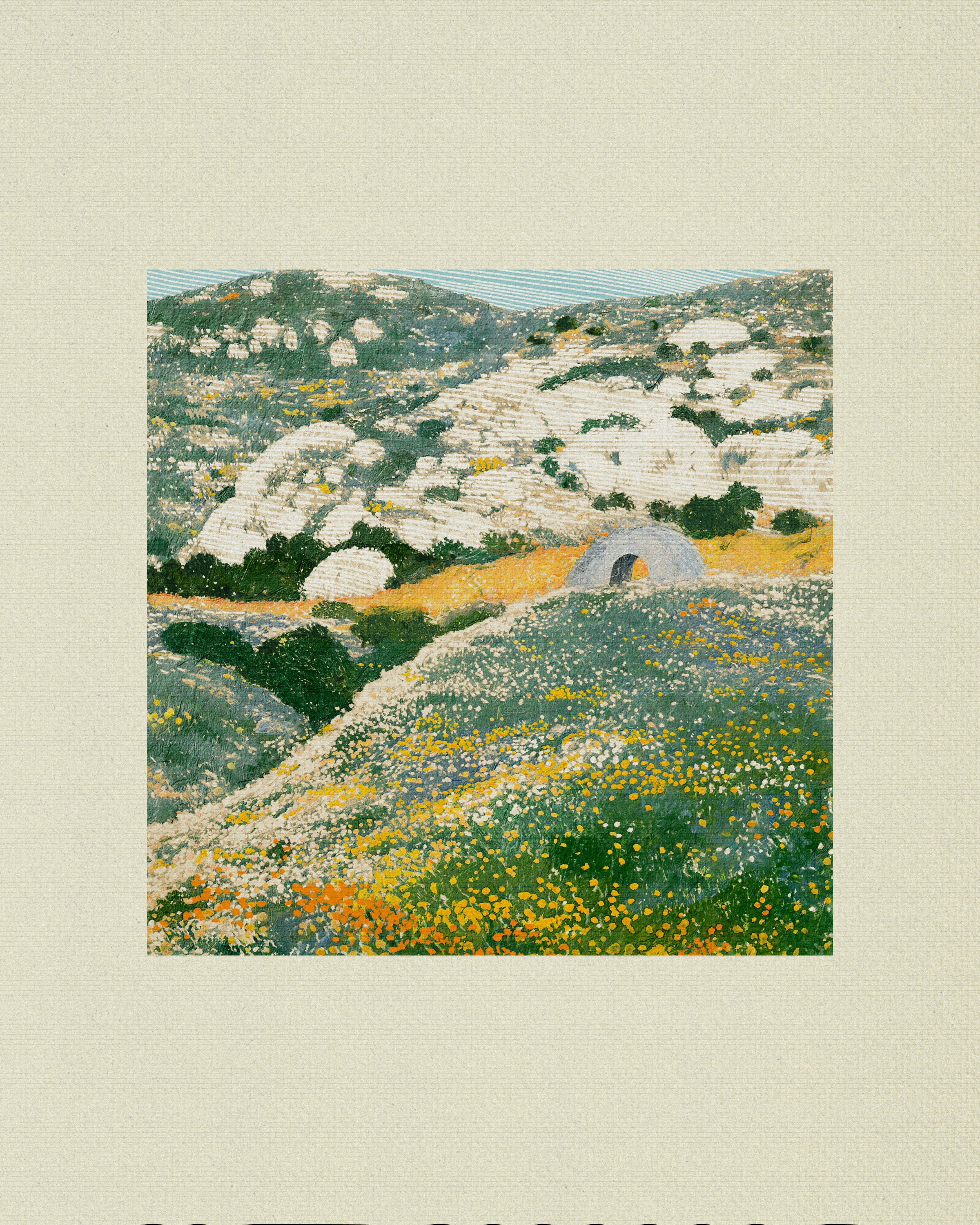 Coast #7