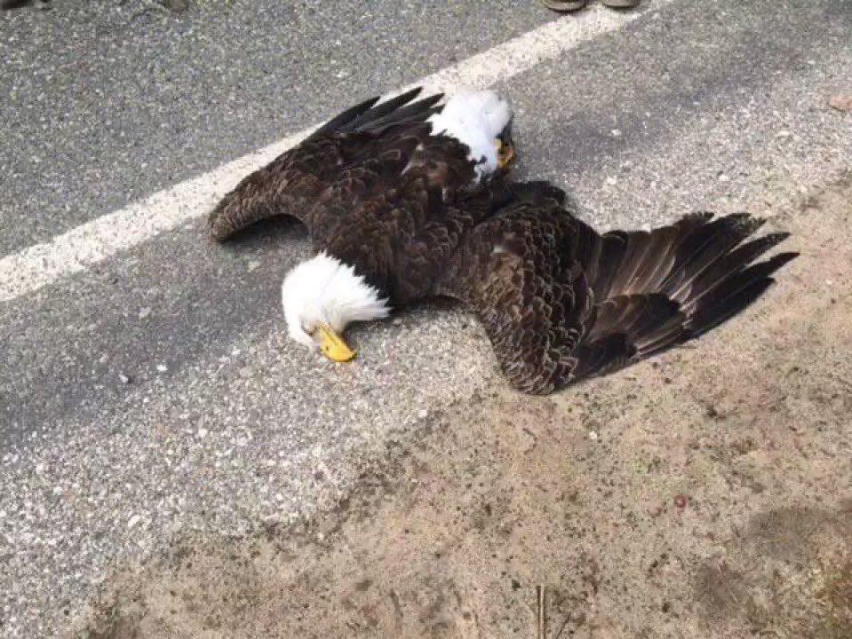 KARTAL
