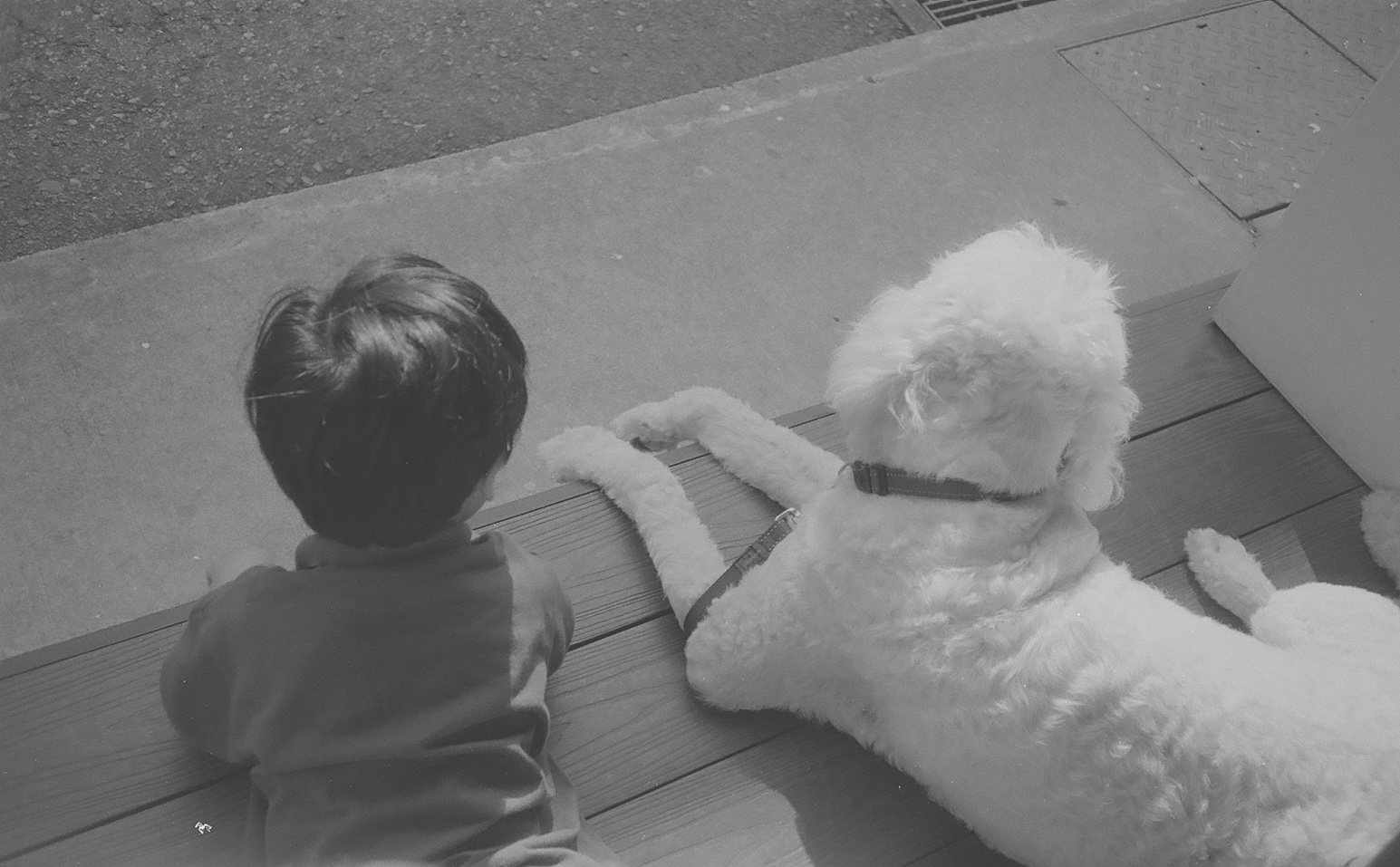 Monochrome Moments - 16