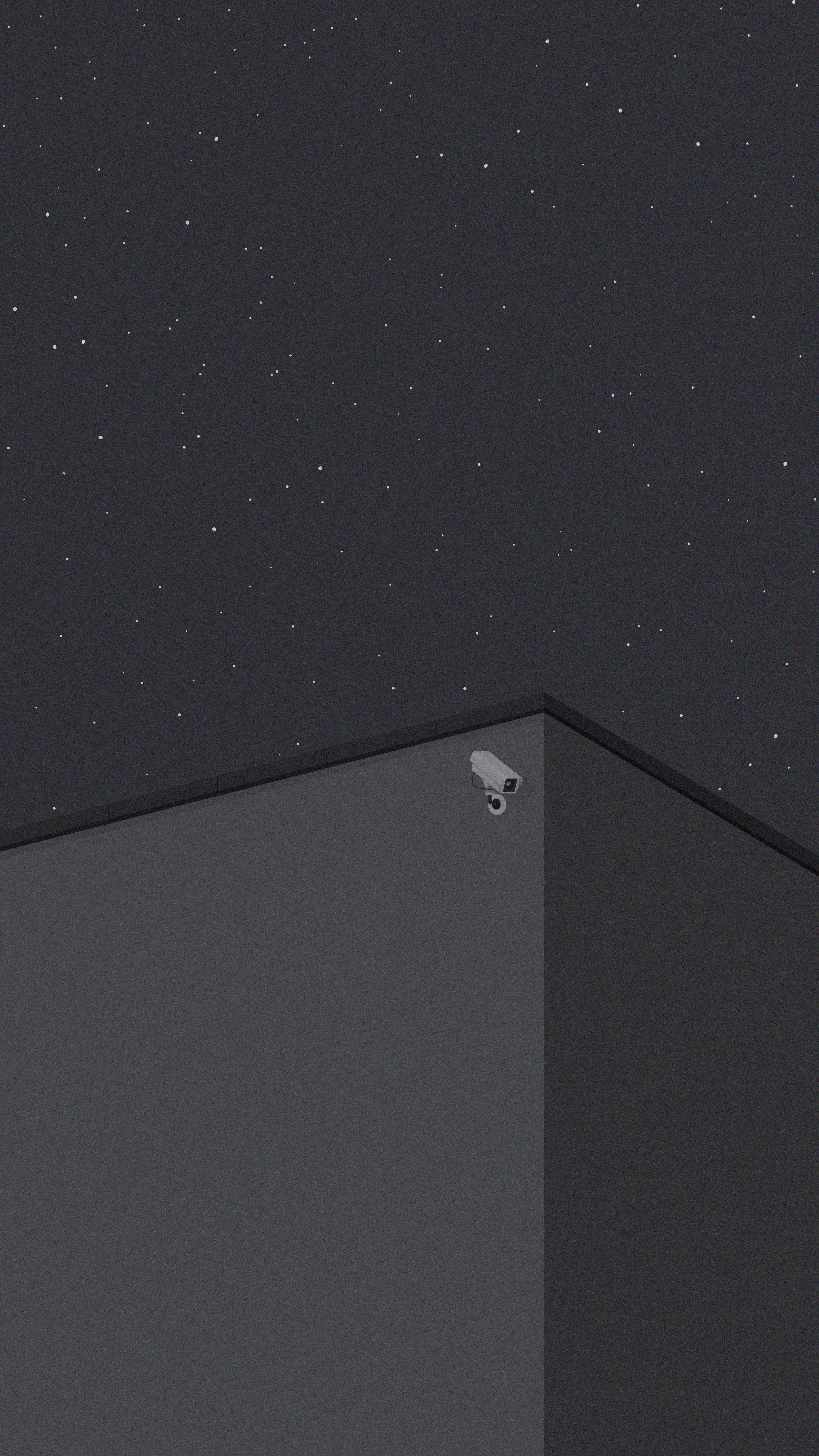 Midnight Surveillance