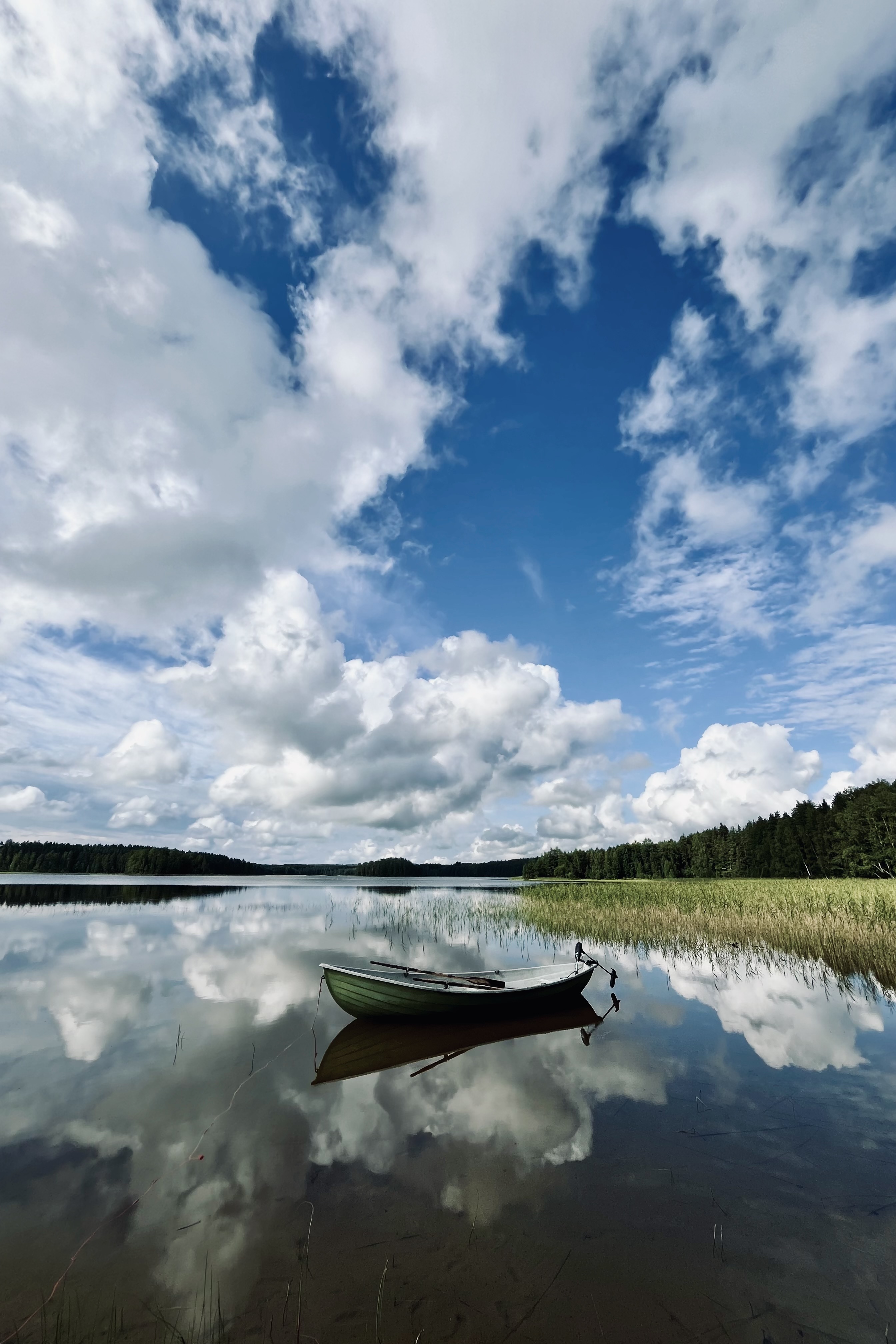 Summer Doldrum Diary - part 8