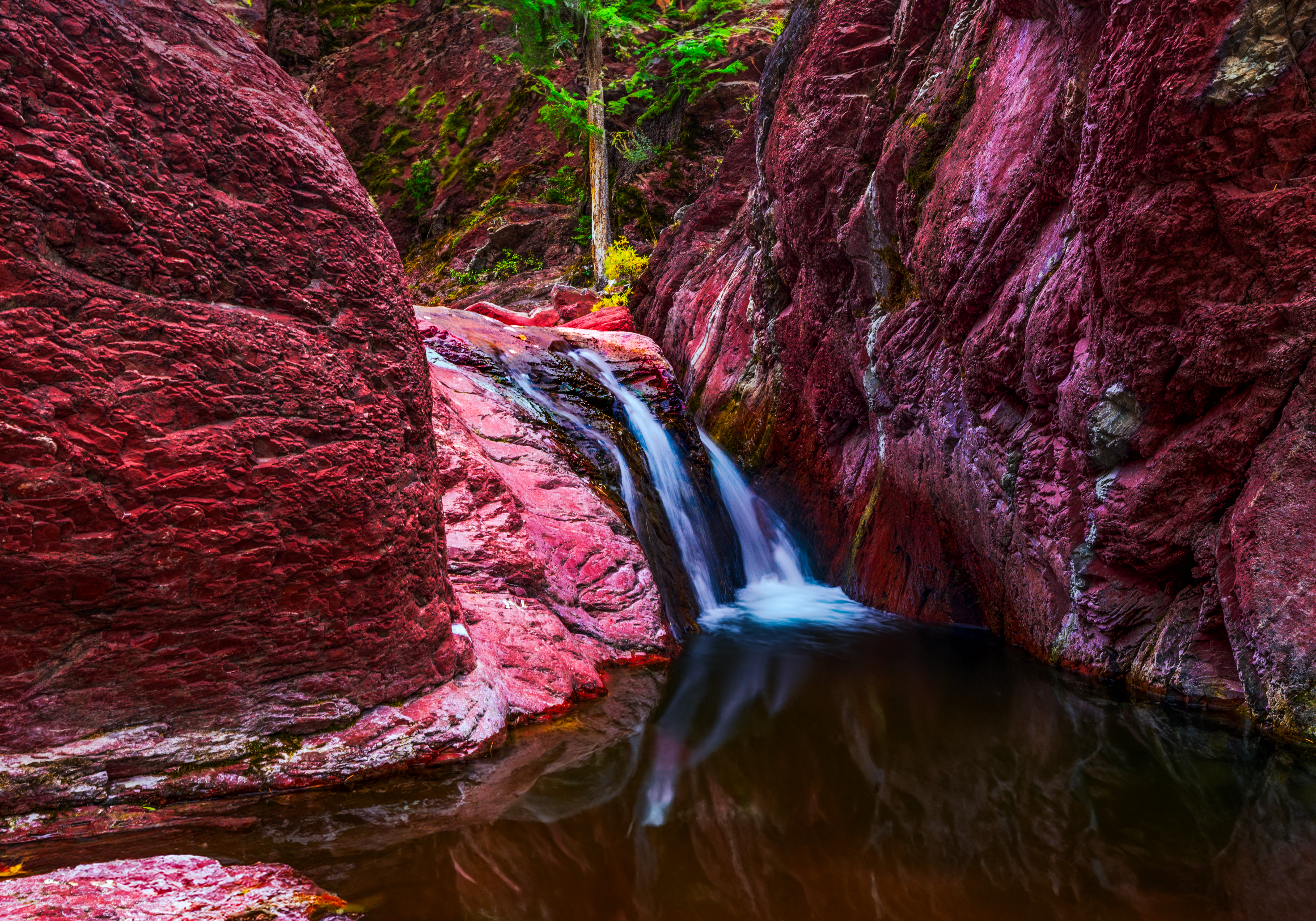 Red Rock Canyon Spring #33