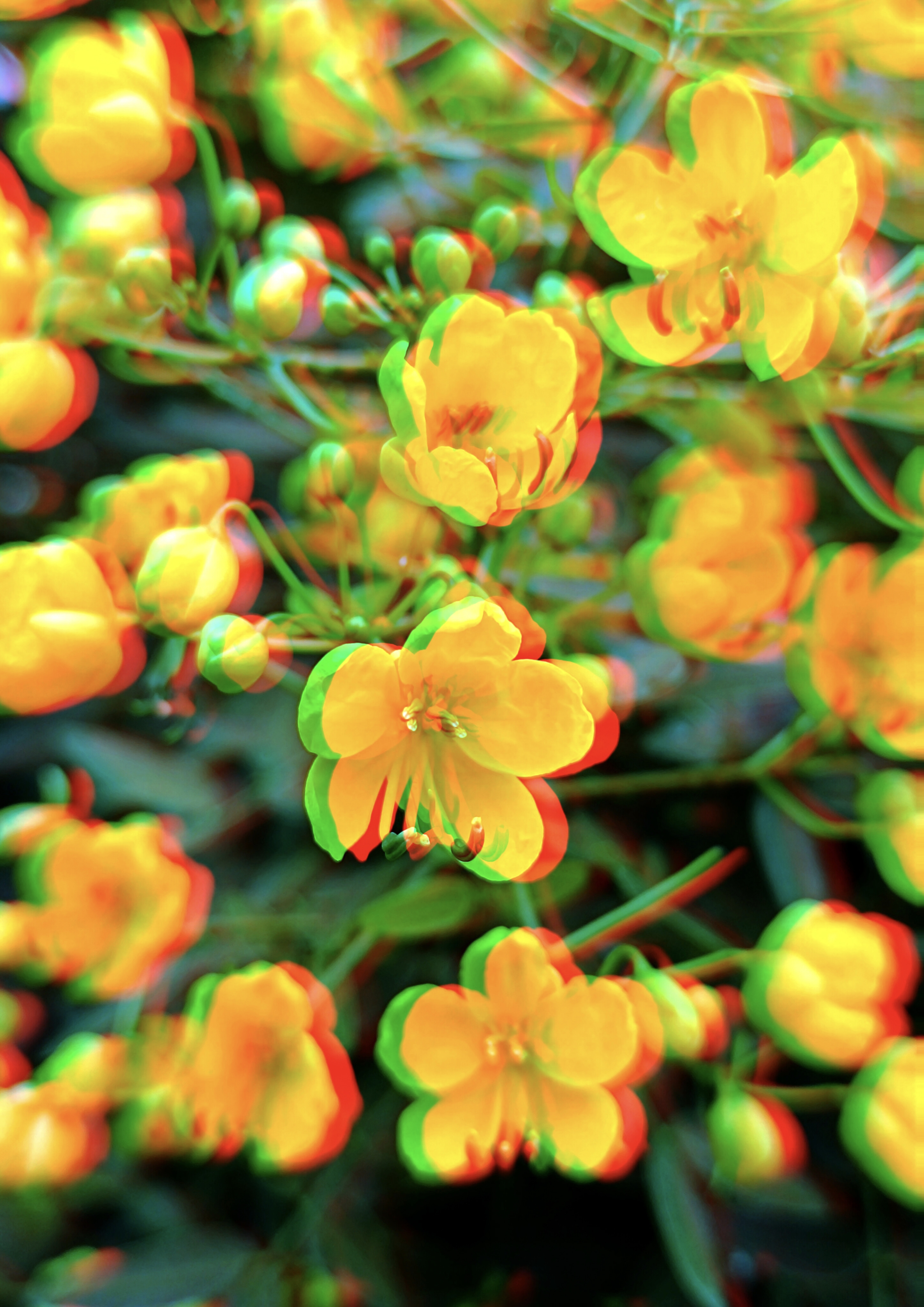 Be Happy #19