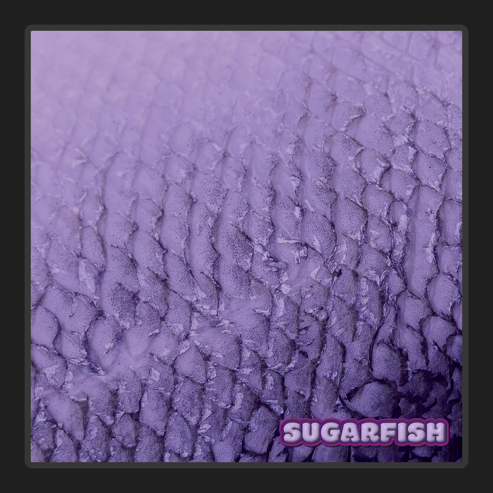 SUGARFISH