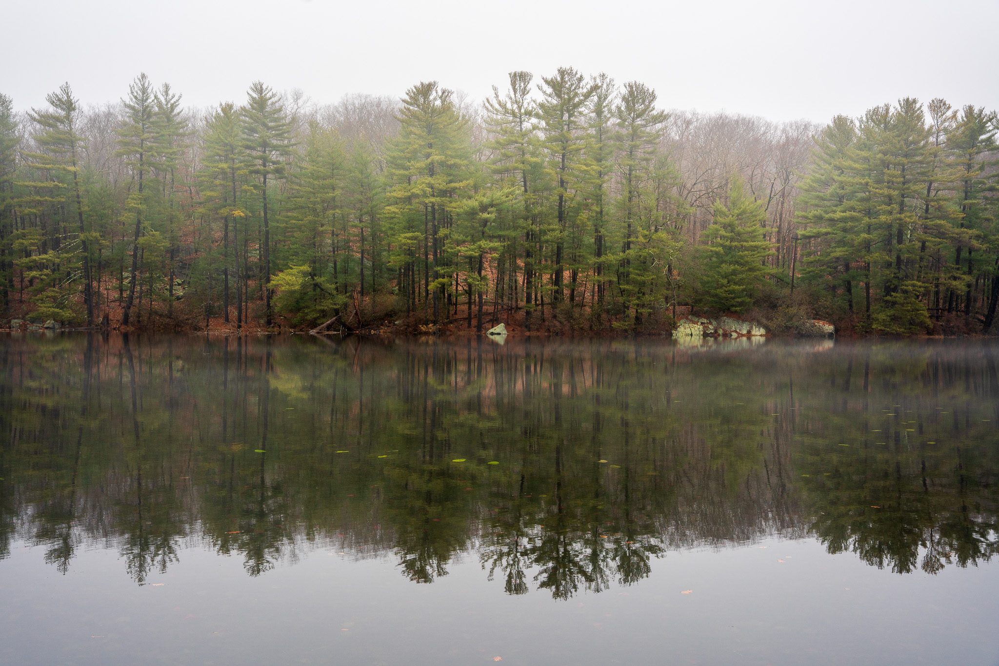 hazy shade of winter