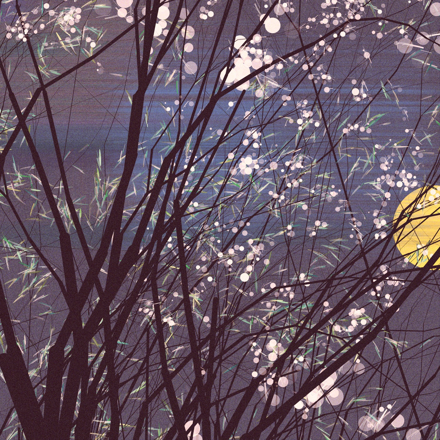 conversation with the wind