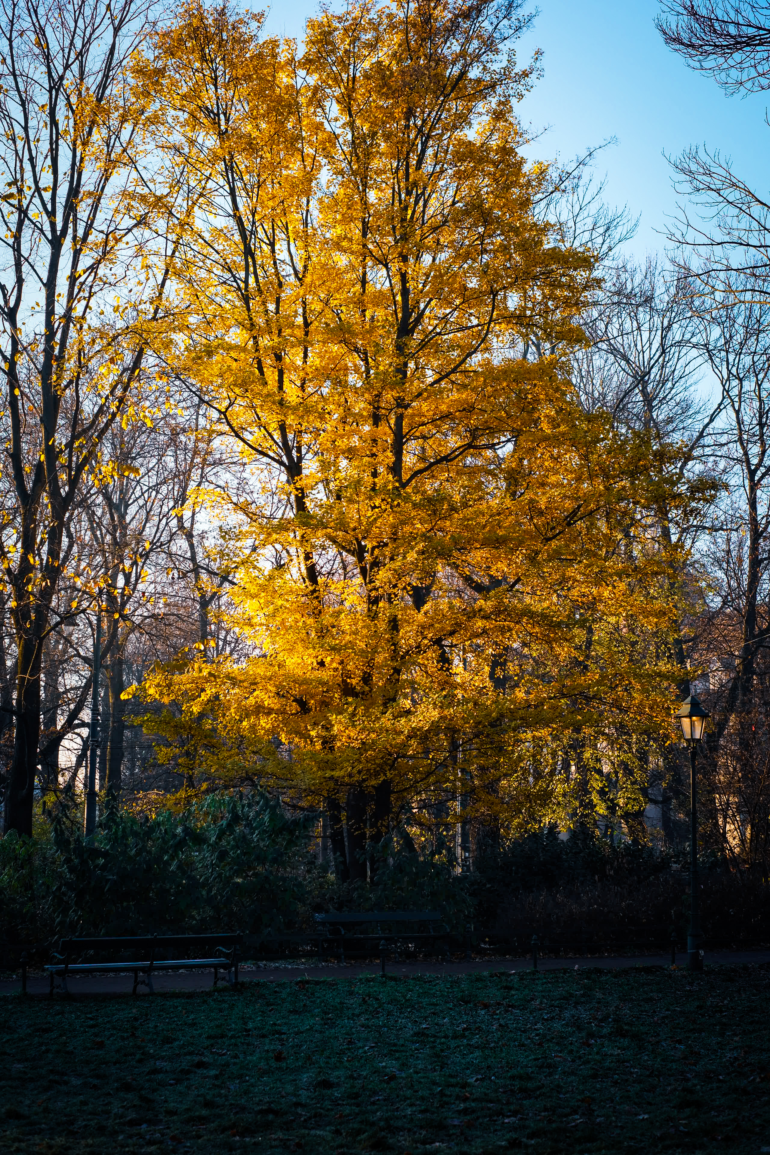 perpetual change #13