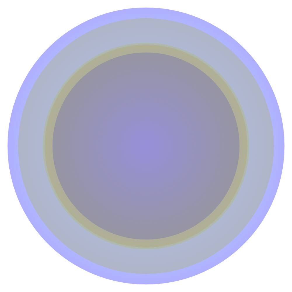 disk (019) #4