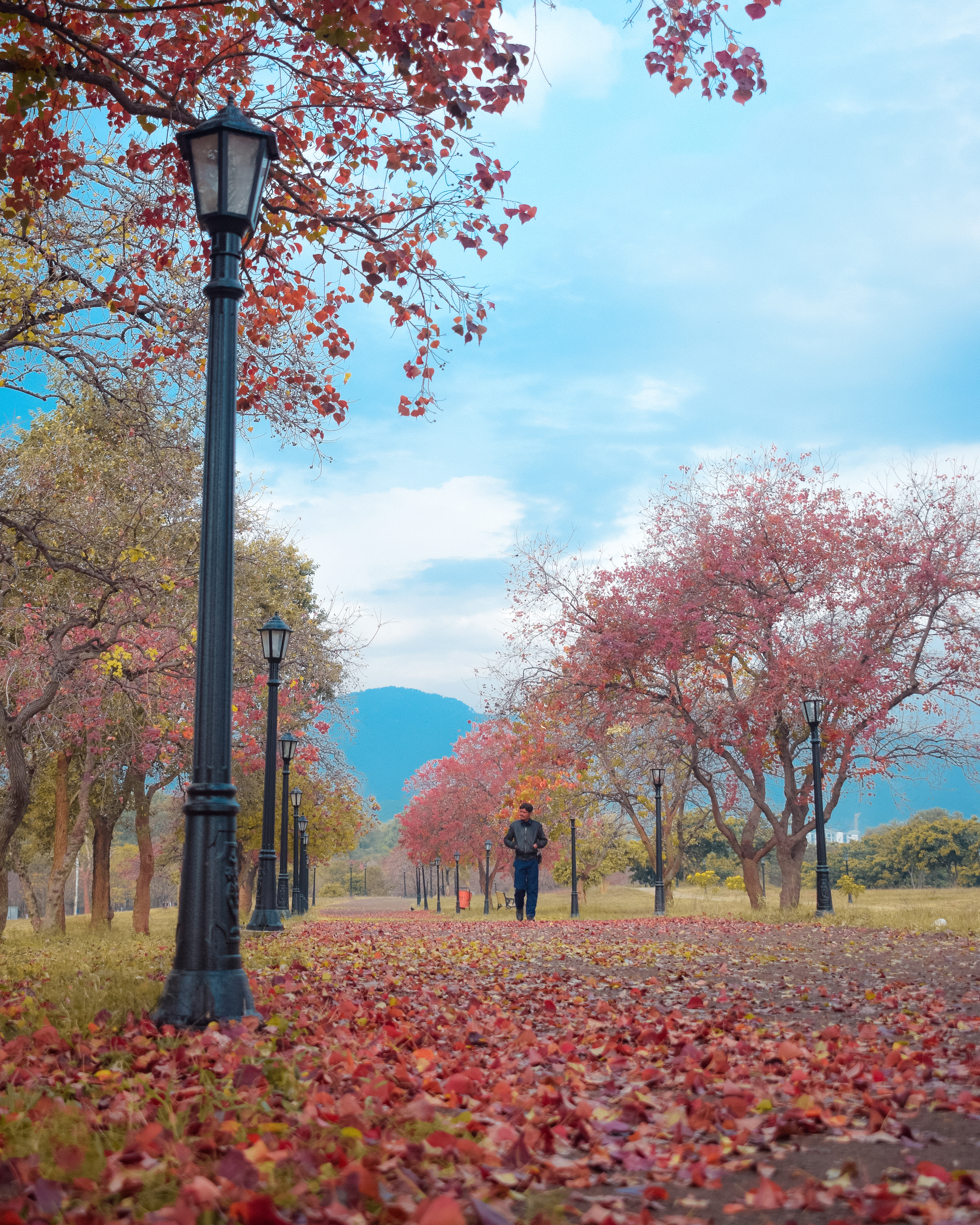  SHADES OF ONCHAIN AUTUMN #10
