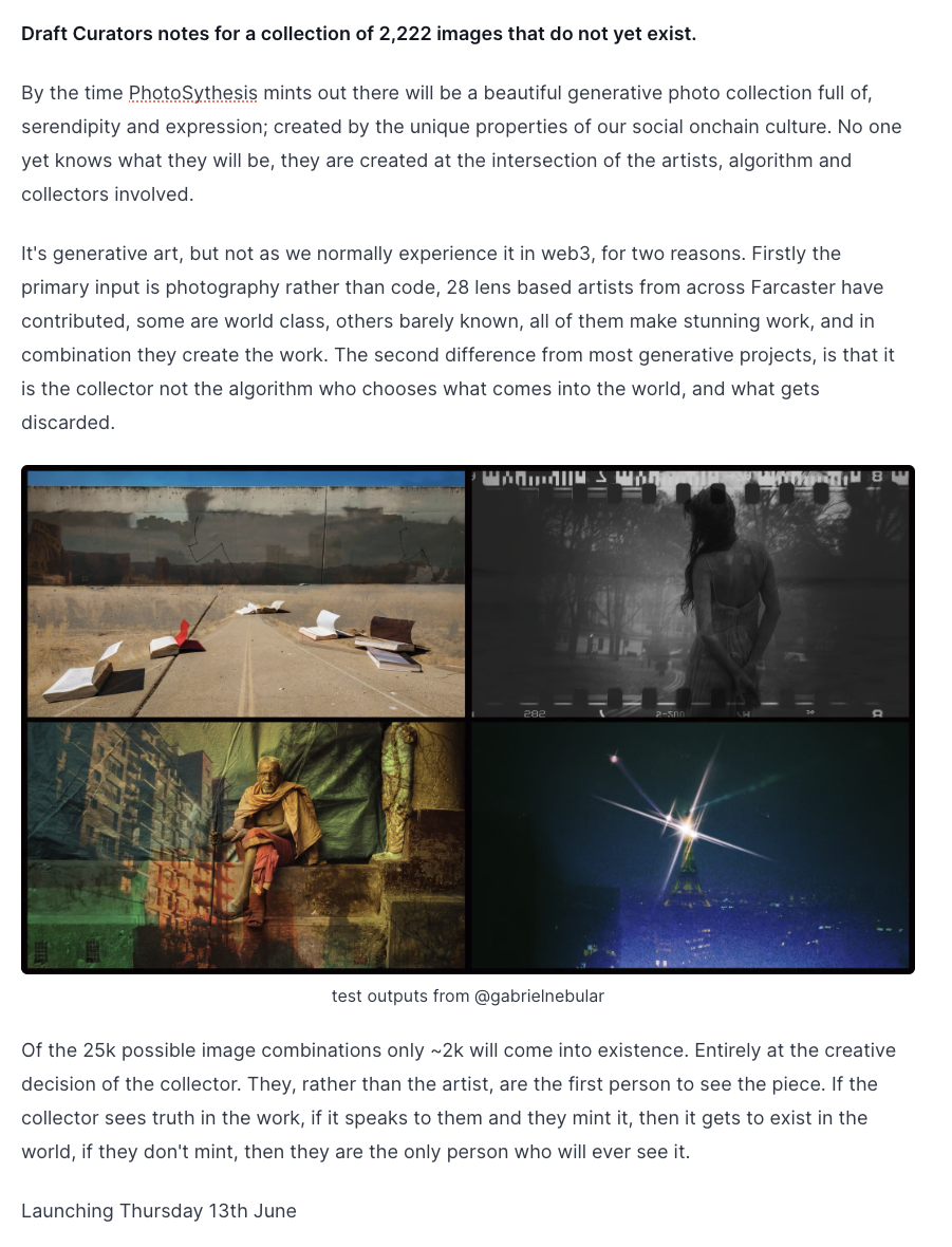 Draft Curators notes for PhotoSythesis