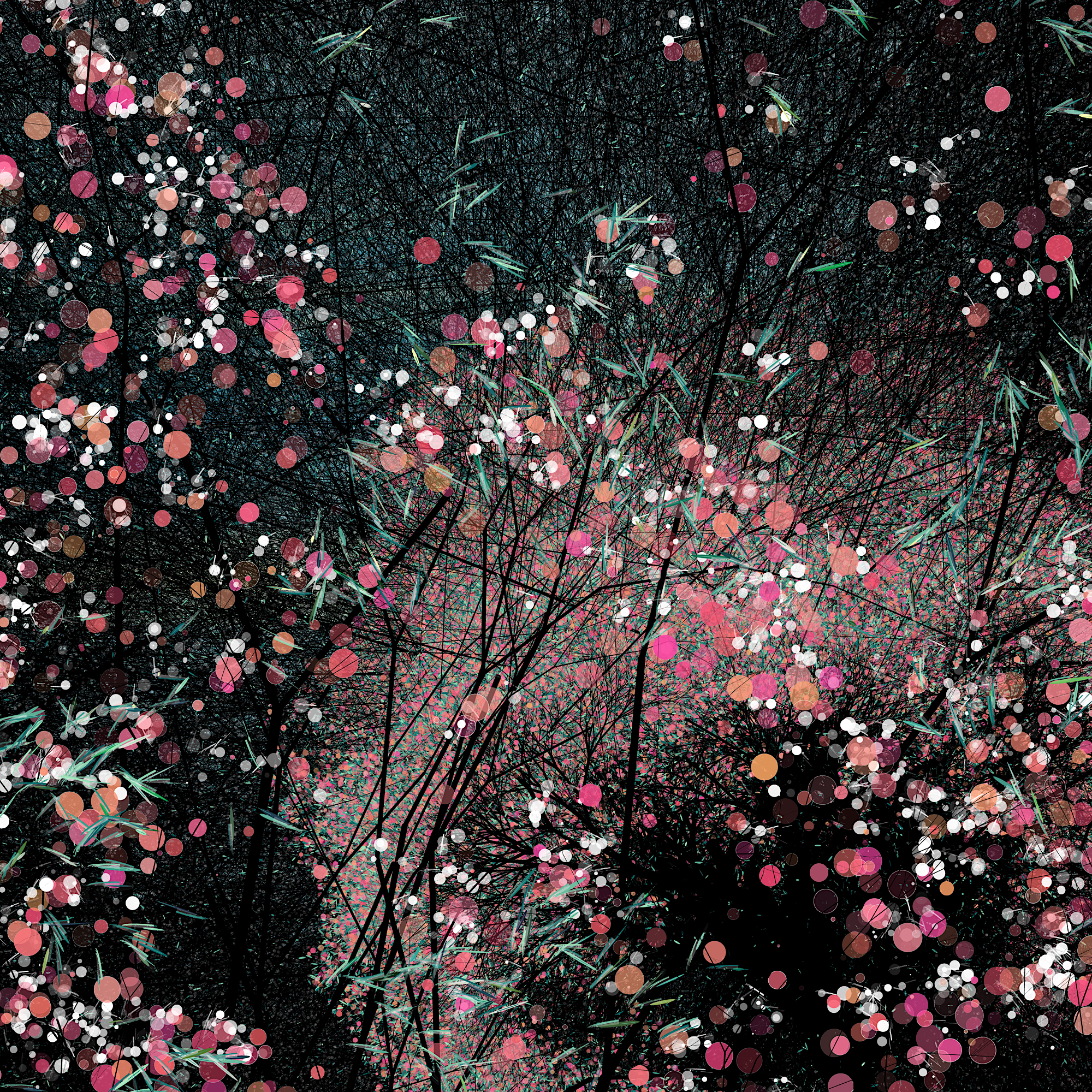 conversation with the wind