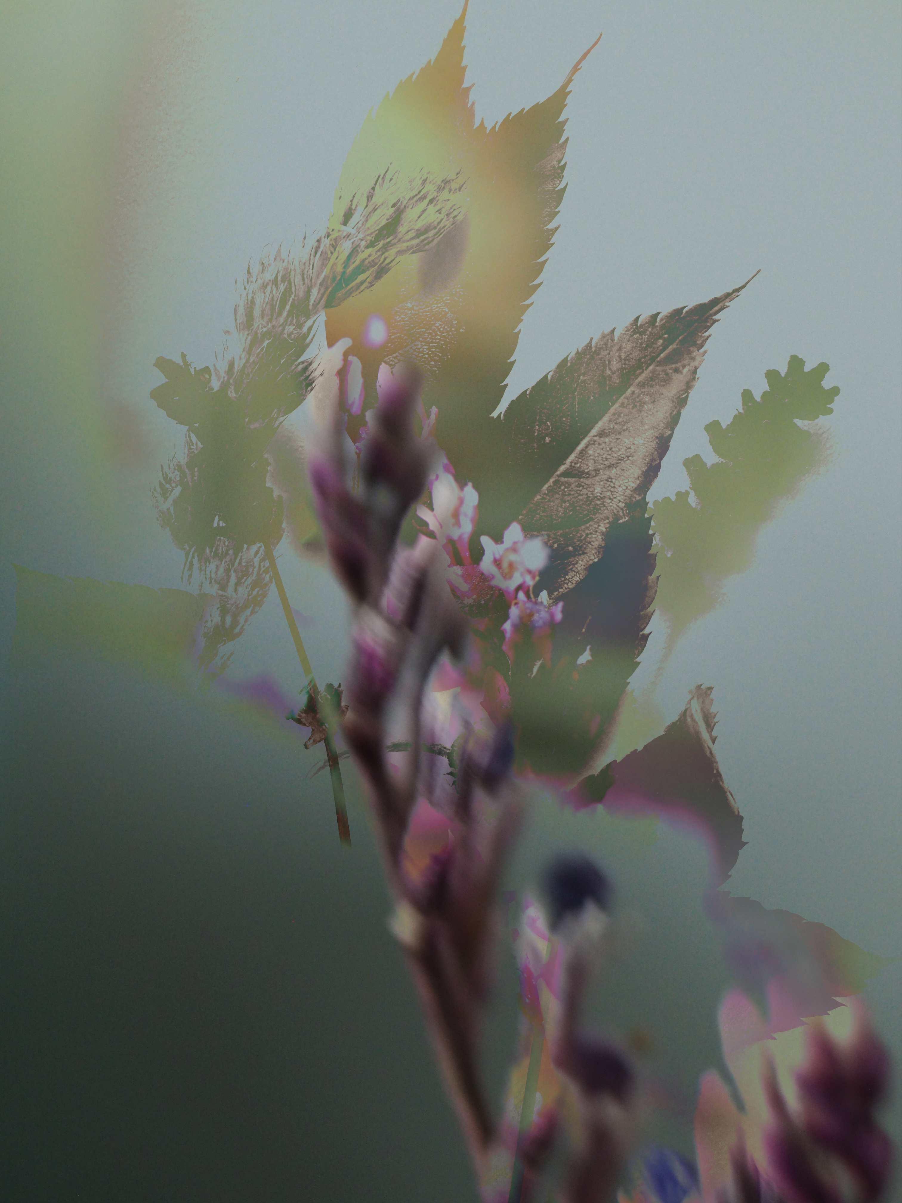 The Little Things #16